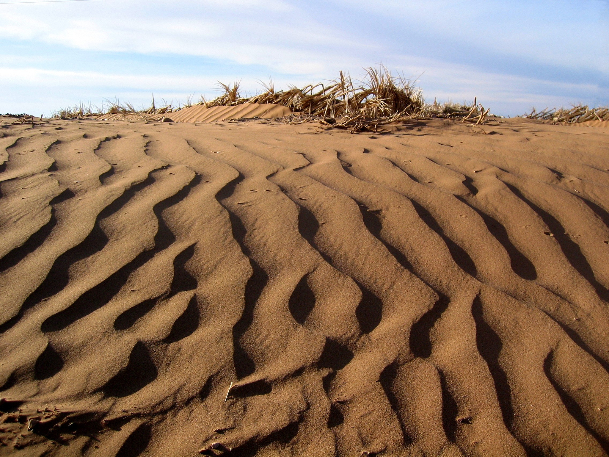 sand, sand, sandy