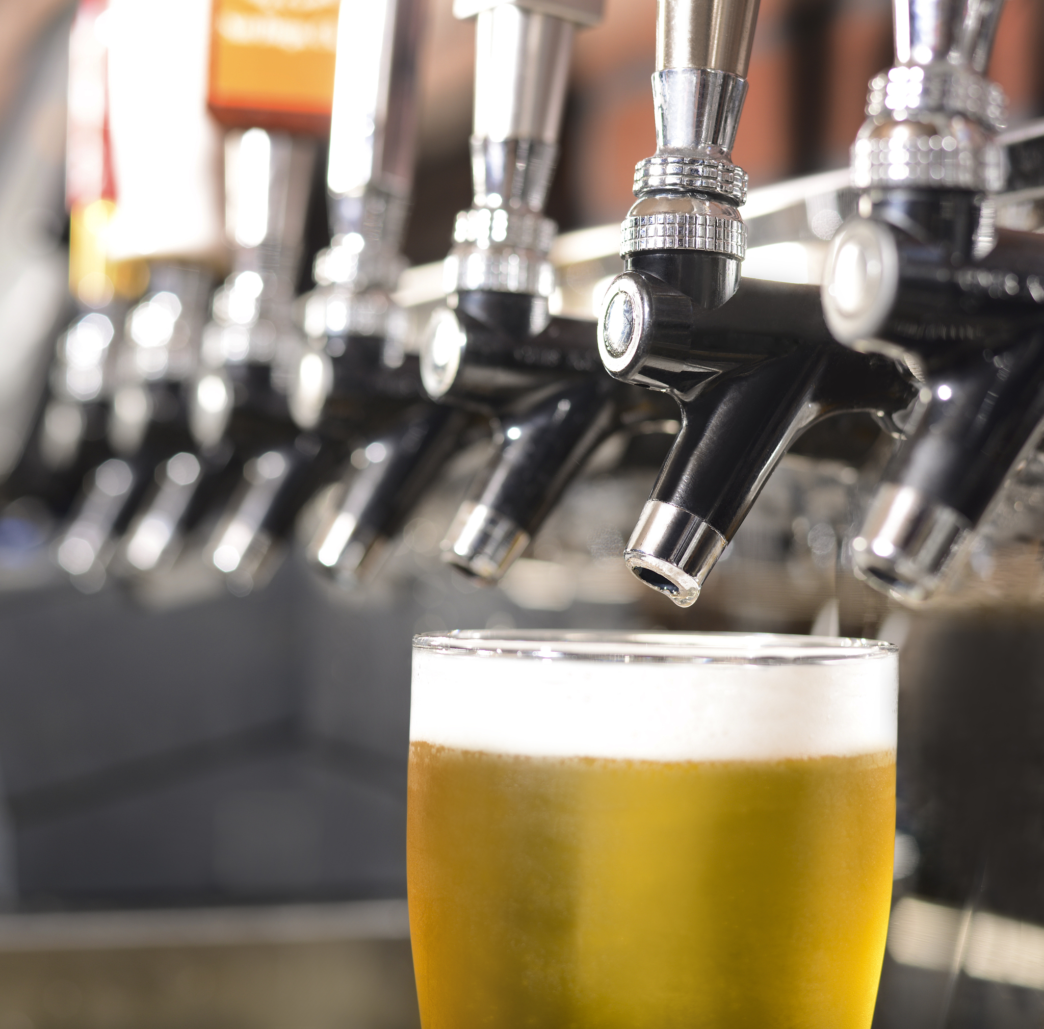 夏季清爽啤酒酿造方案：20L批次