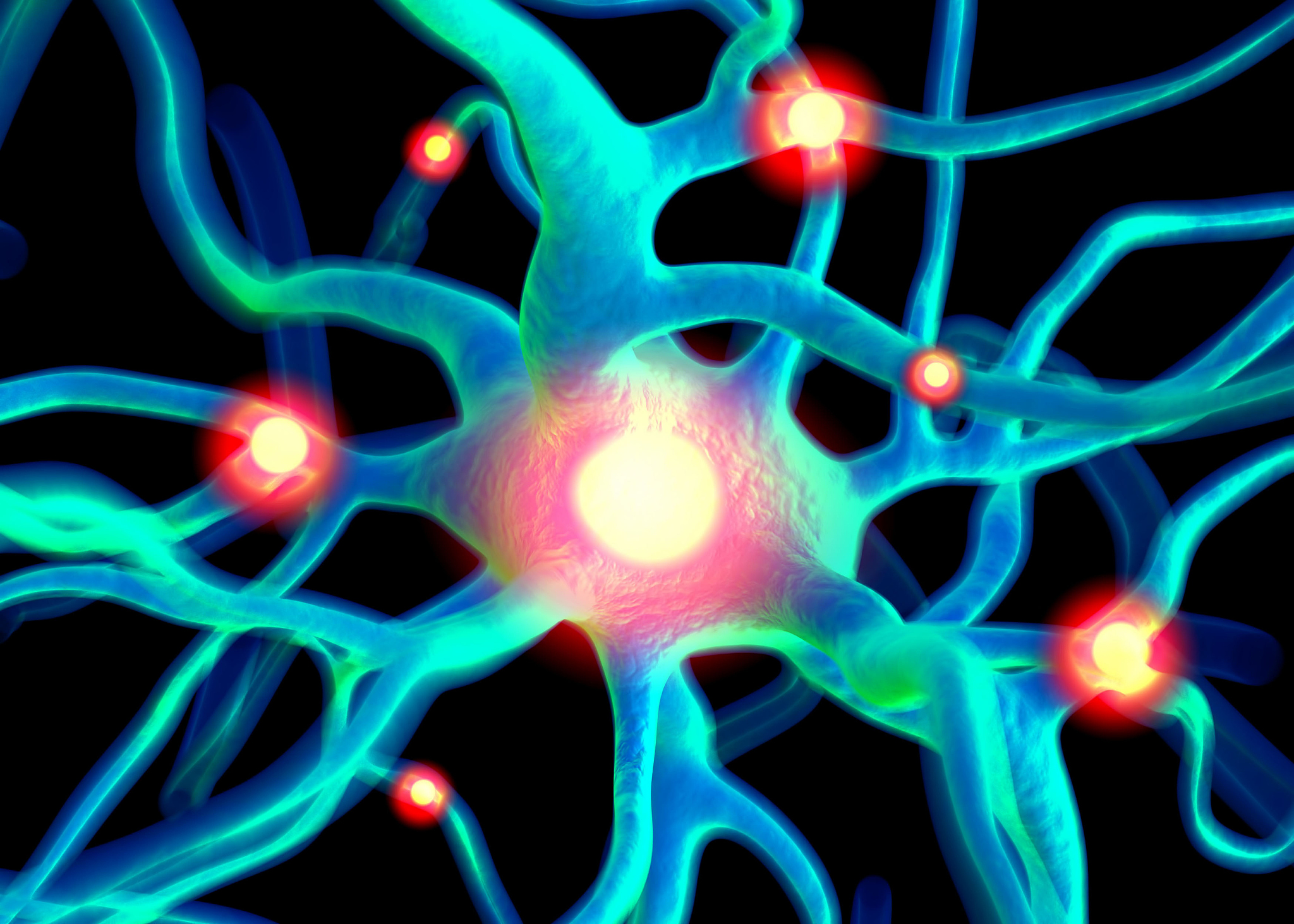 三级神经元三级神经元是指在神经系统中位于中枢神经系统和周围神经系统之间的神经元。它们接收来自二级神经元的信息并将其传递到目标器官或组织。三级神经元通常位于感觉通路的末端例如视网膜中的视杆细胞和视锥细胞就是三级神经元。在听觉通路中耳蜗中的毛细胞也是三级神经元。神经元如何分级