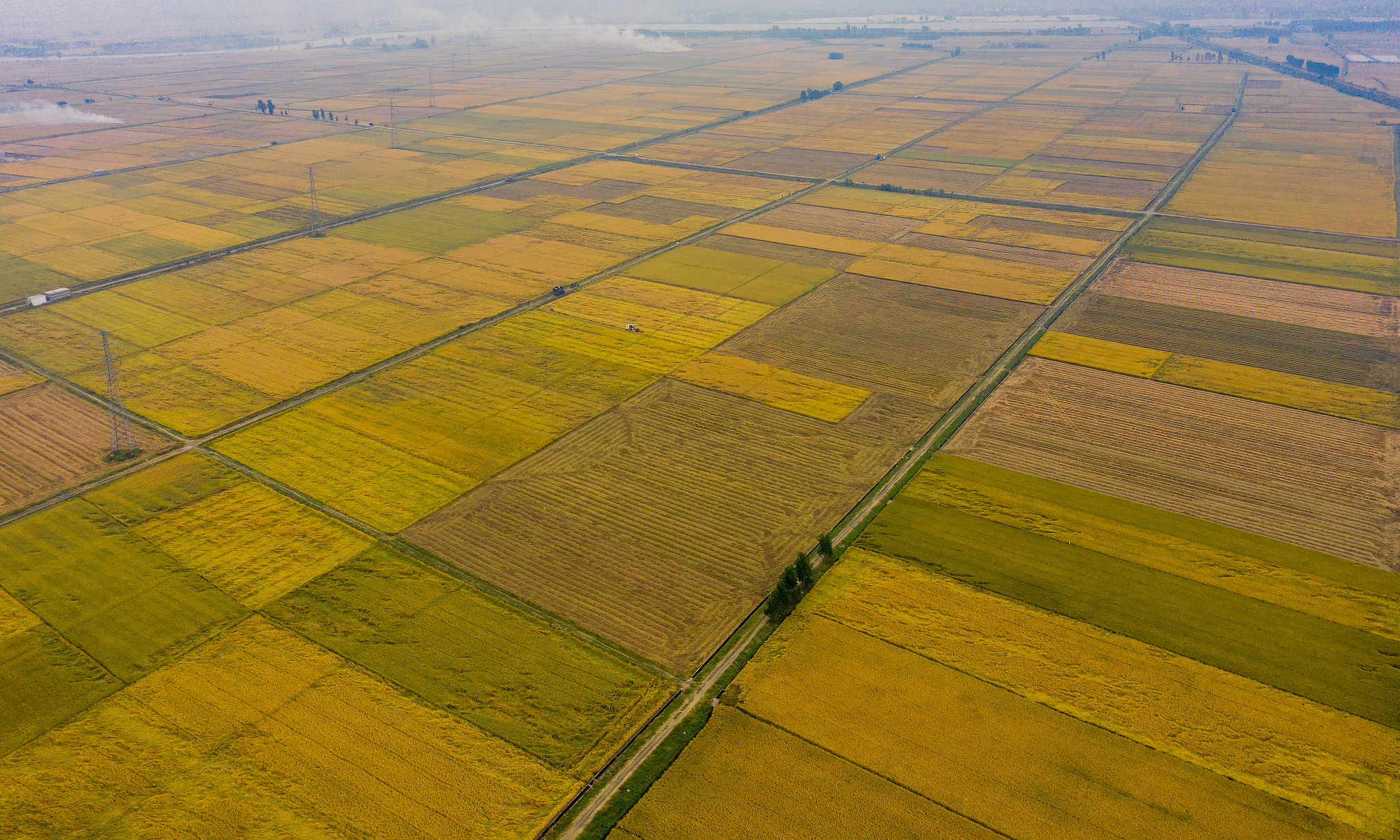 雷州职业高级中学2022年招生简章