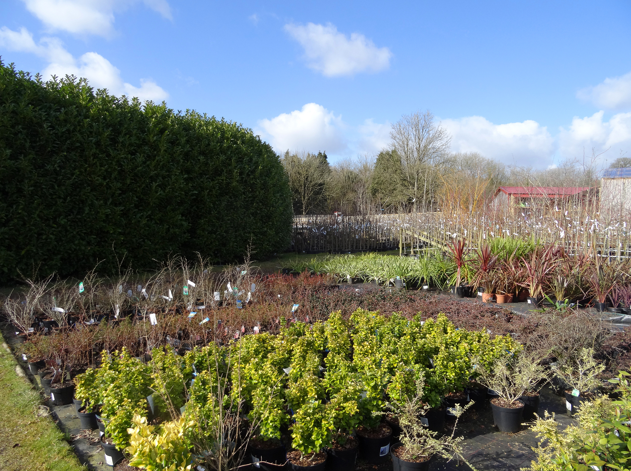 HORTICULTURE RESEARCH期刊：园艺研究领域权威期刊