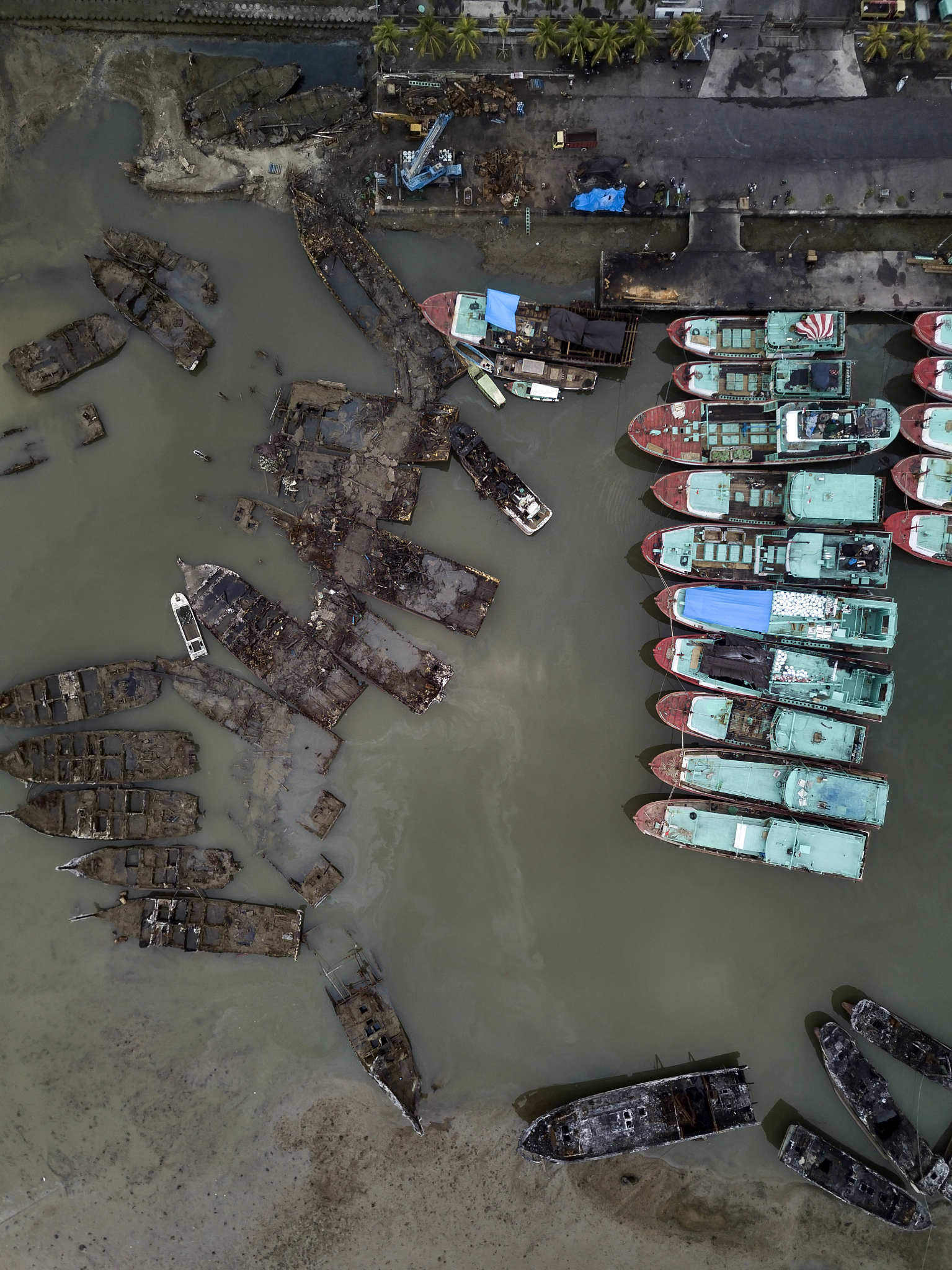 粤港澳大湾区增城区洪涝风险评估:脆弱性分析及共现率应用 粤港澳大湾区增城区洪涝风险评估:脆弱性分析及共现率应用