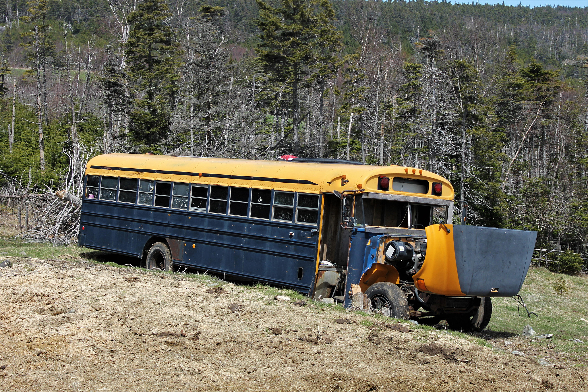 用德语书写海报的五点描述，字符在500字：一套三张，波西米亚风格，抽象线条，几何图案，帆布材质，无框架，温暖的墙壁装饰。
