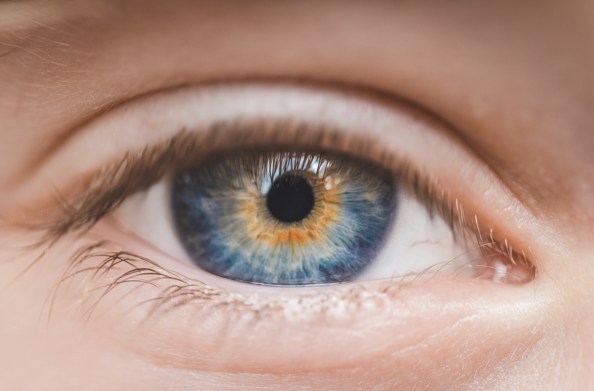 close-up of children blue eye