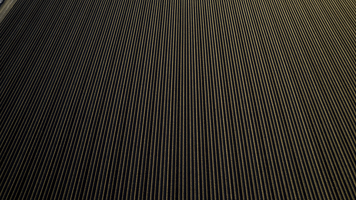 土壤耕作研究期刊：土壤质量、侵蚀和改良的领先刊物