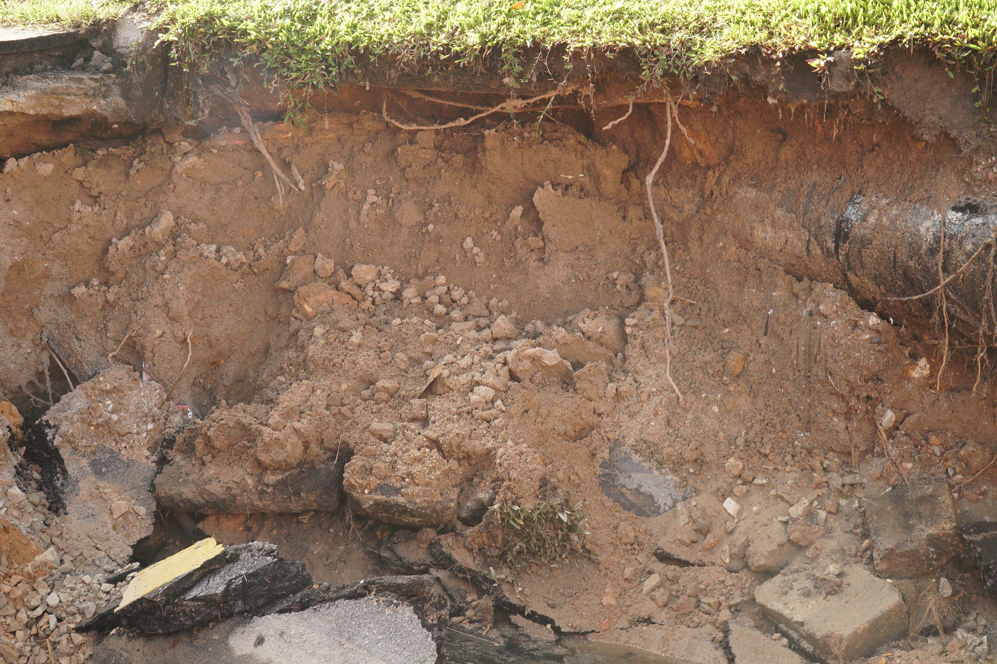 人工林土壤剖面探秘：一次难忘的土壤学实习