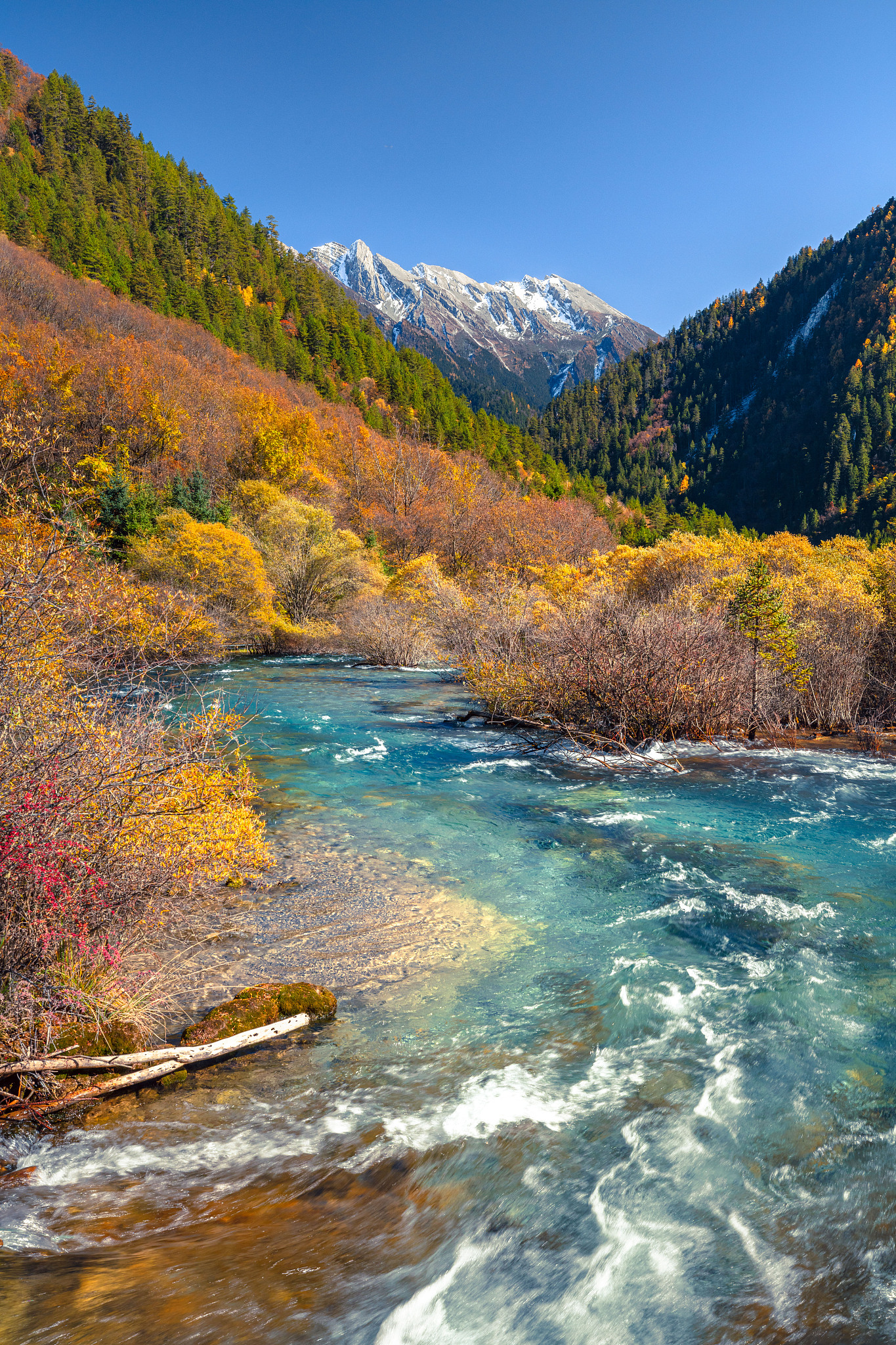 畅游四川，解锁绝美风光与地道美食🌸