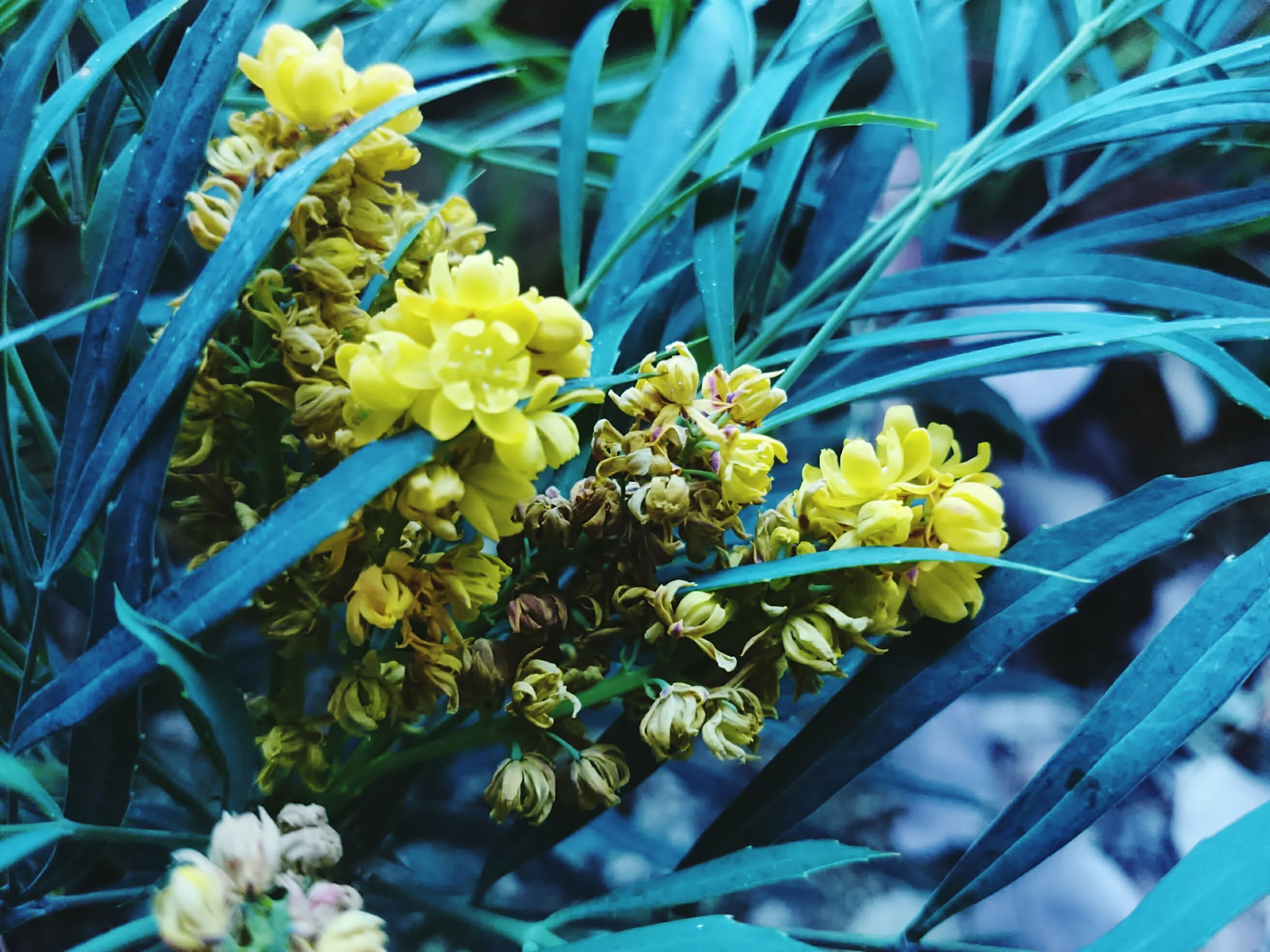 surprisingly real fake plastic flower