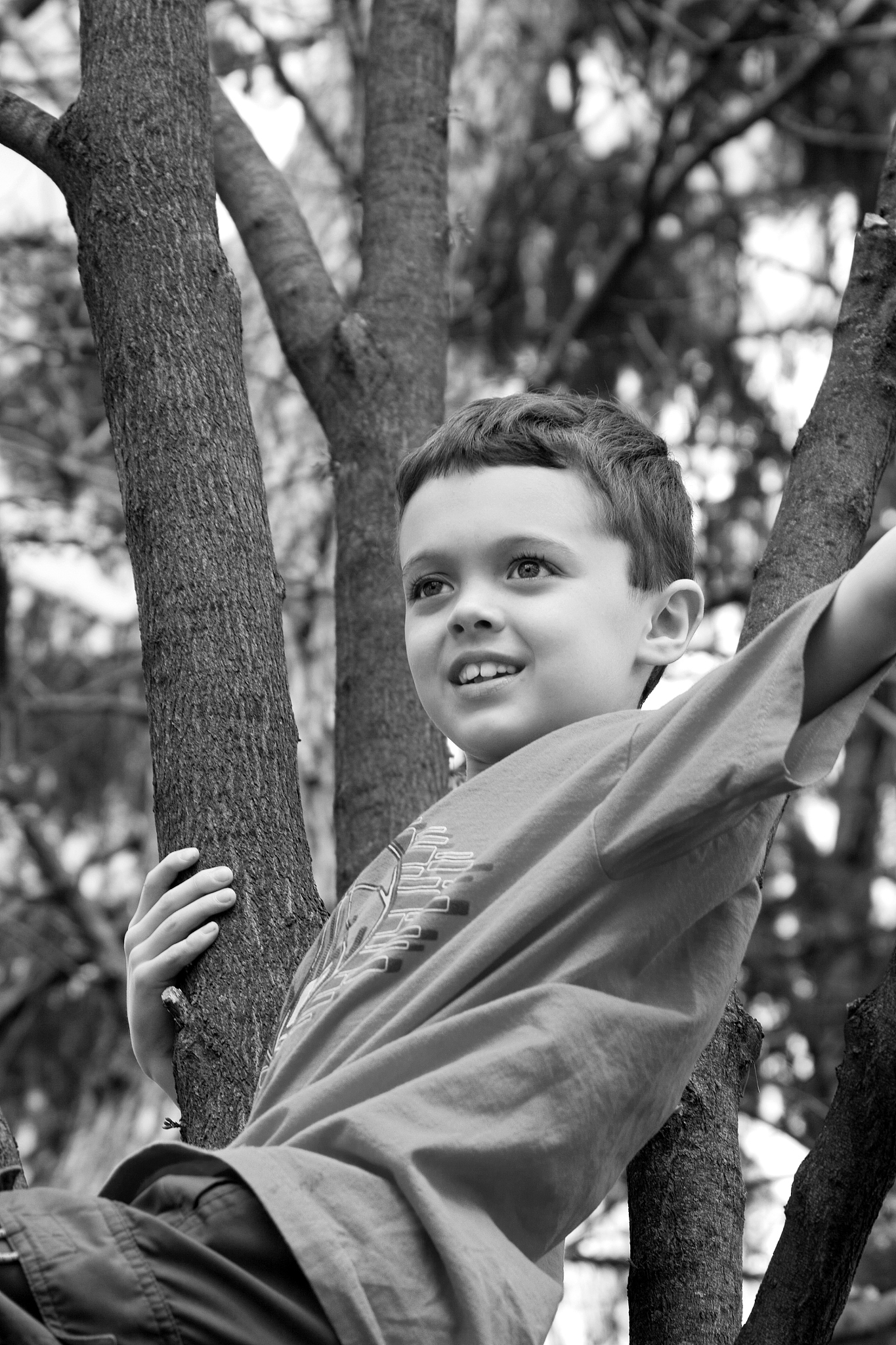 boy in tree