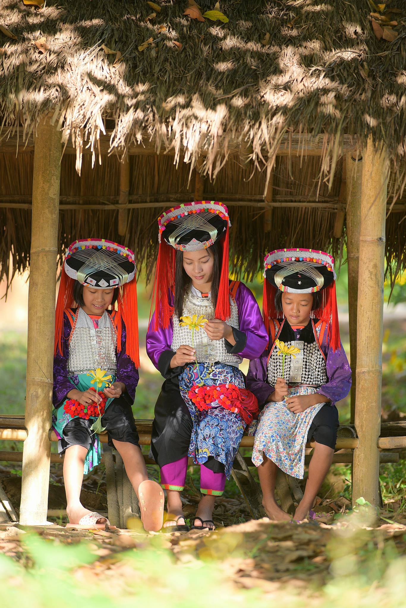three asian lahu tribe lady play with yellow mexico flower