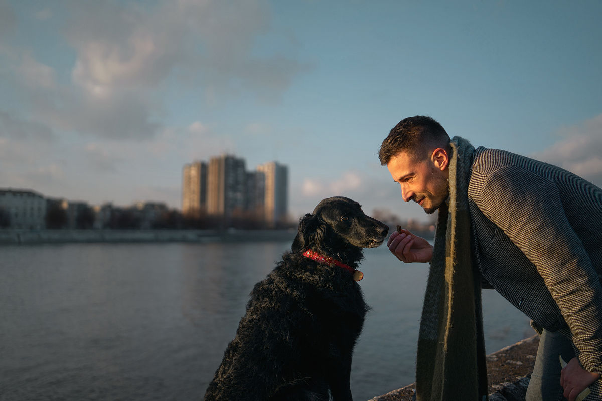 友谊的力量：无条件的爱，不受时间和距离影响