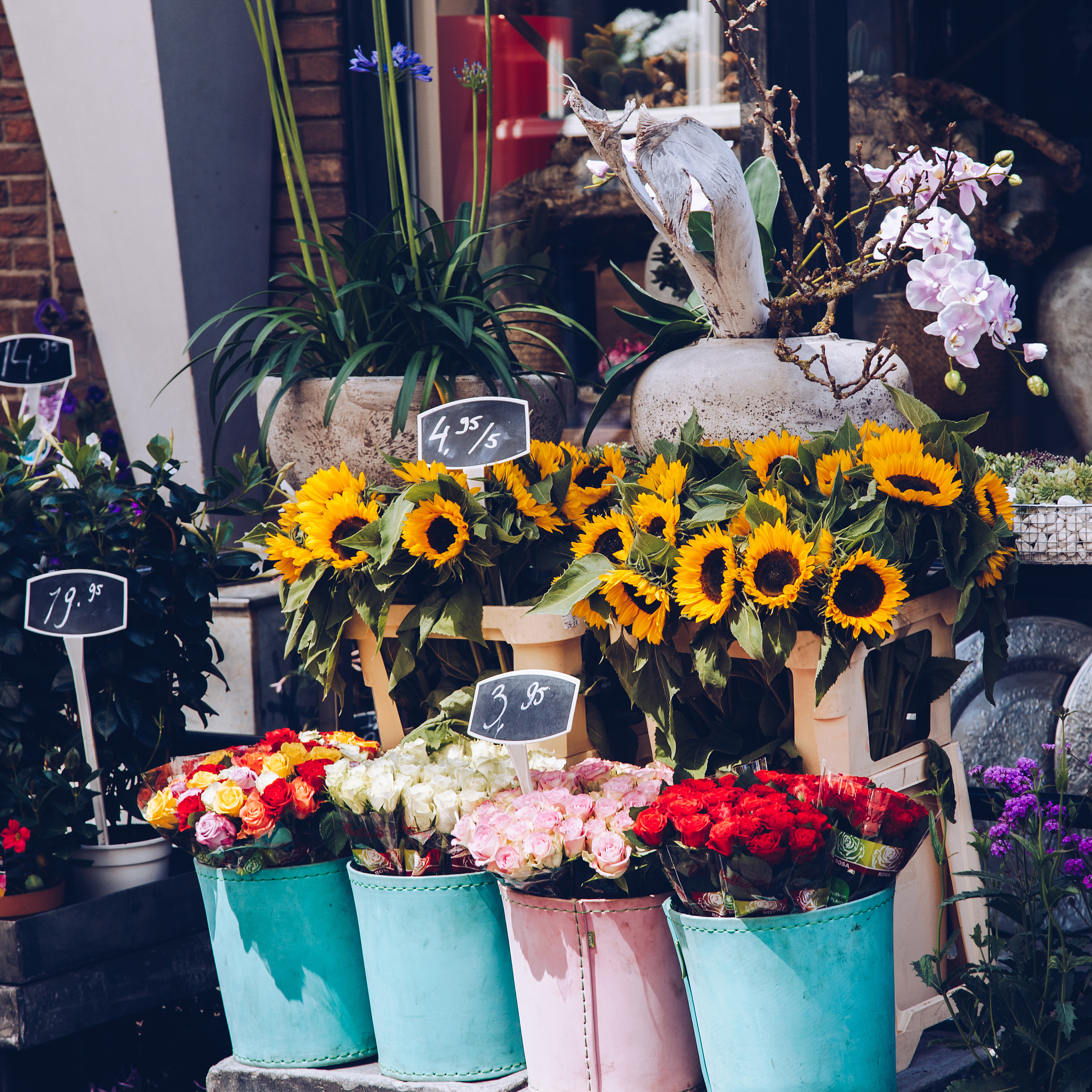 20个文艺、时尚、优雅简约的花店名字：给你的花店取个好名字