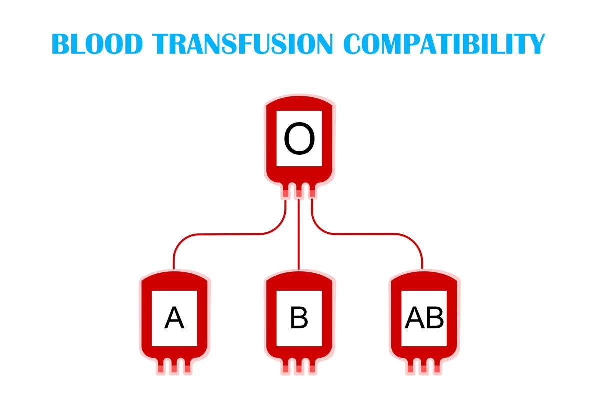 全球血型比例分布：A型血最多，O型血紧随其后