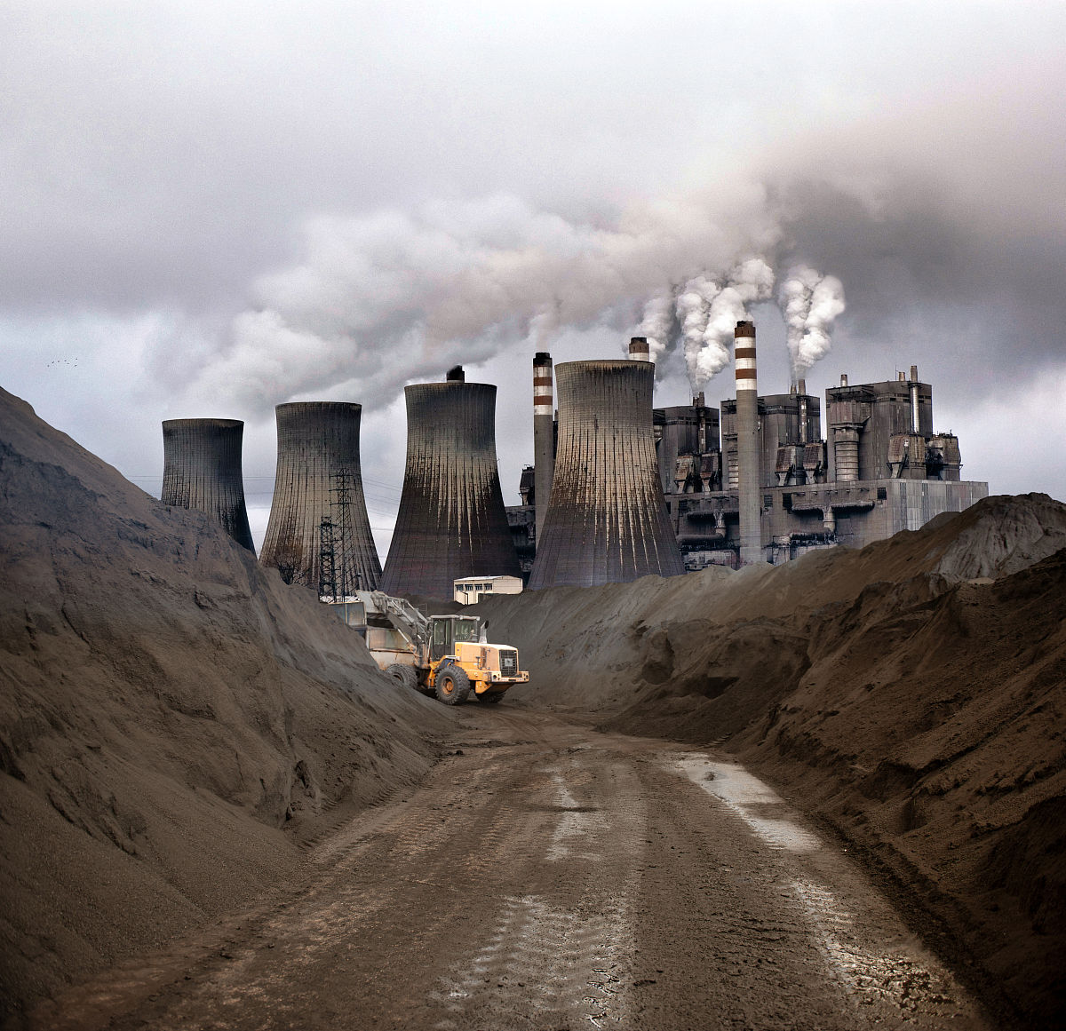 请介绍青岛德诚矿业有限公司风险案例的基本情况并剖析风险成因和启示