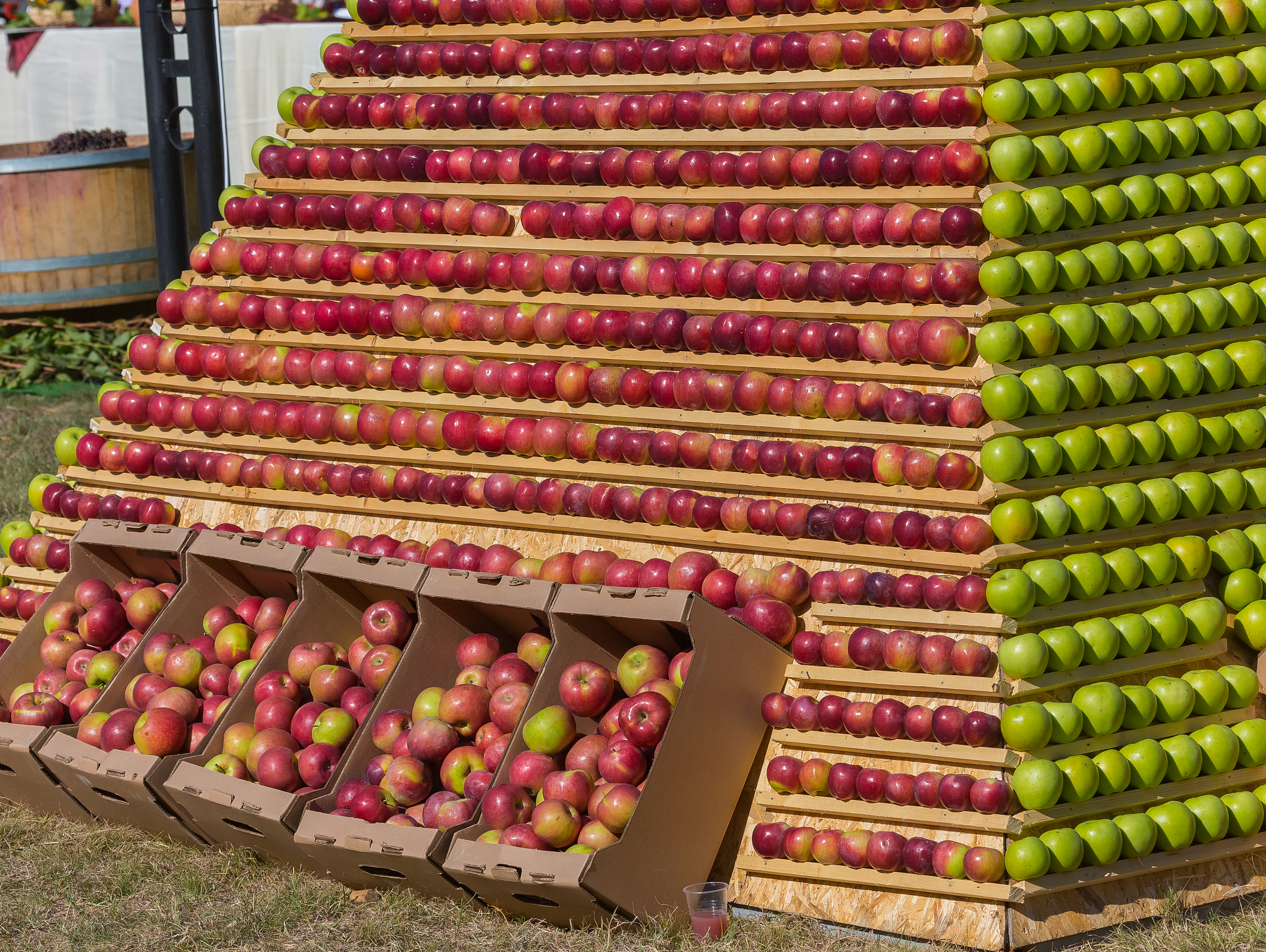 1200字关于探究电影中的隐喻和象征