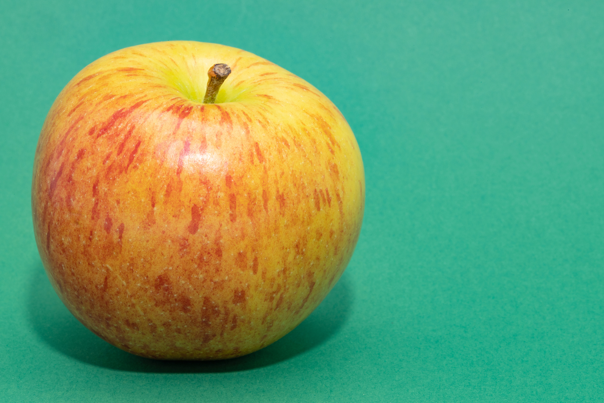 Pseudomonas putida PG-9: Boosting Apple Yield and Quality