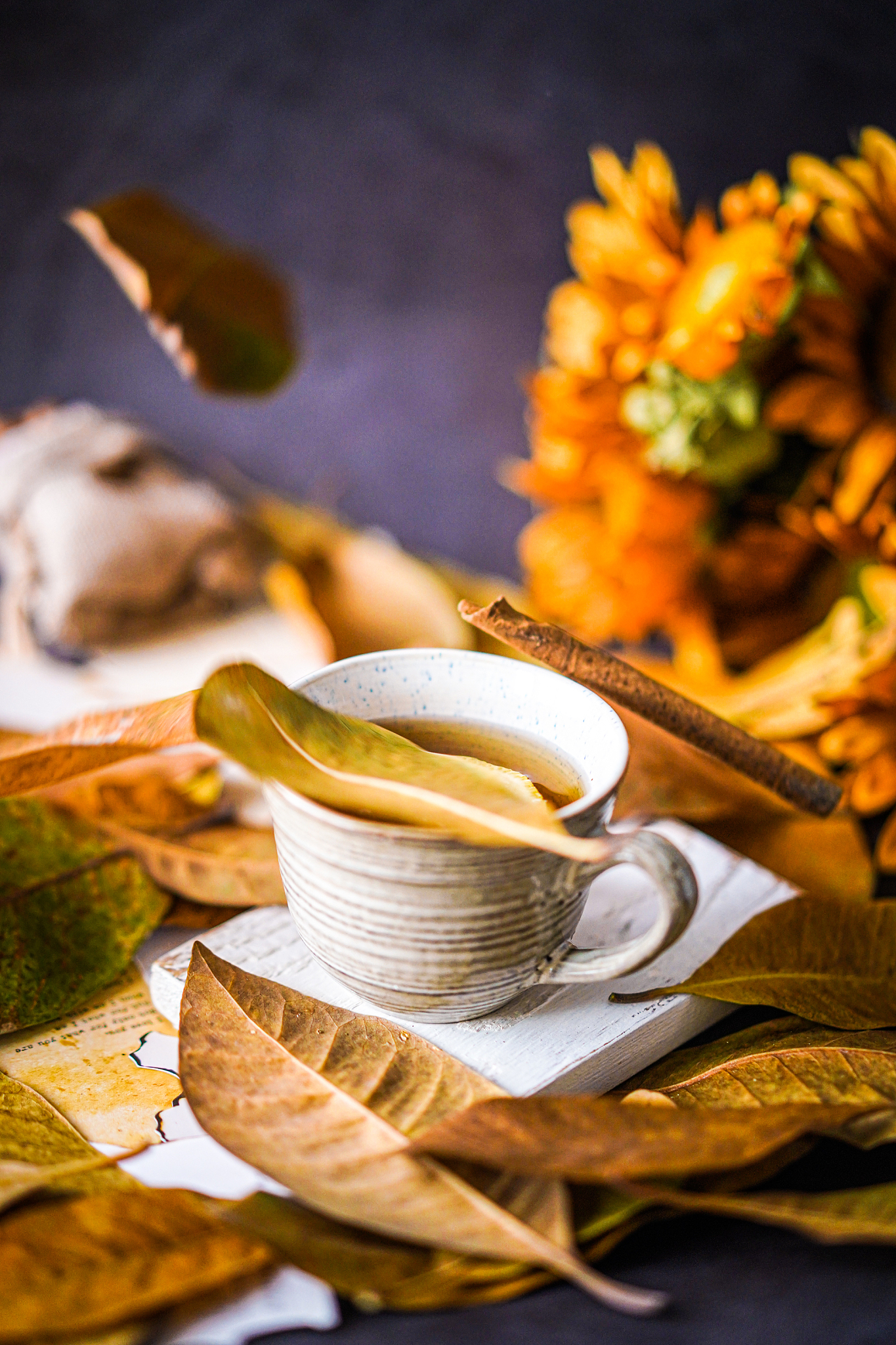 朋友圈秋夏文案