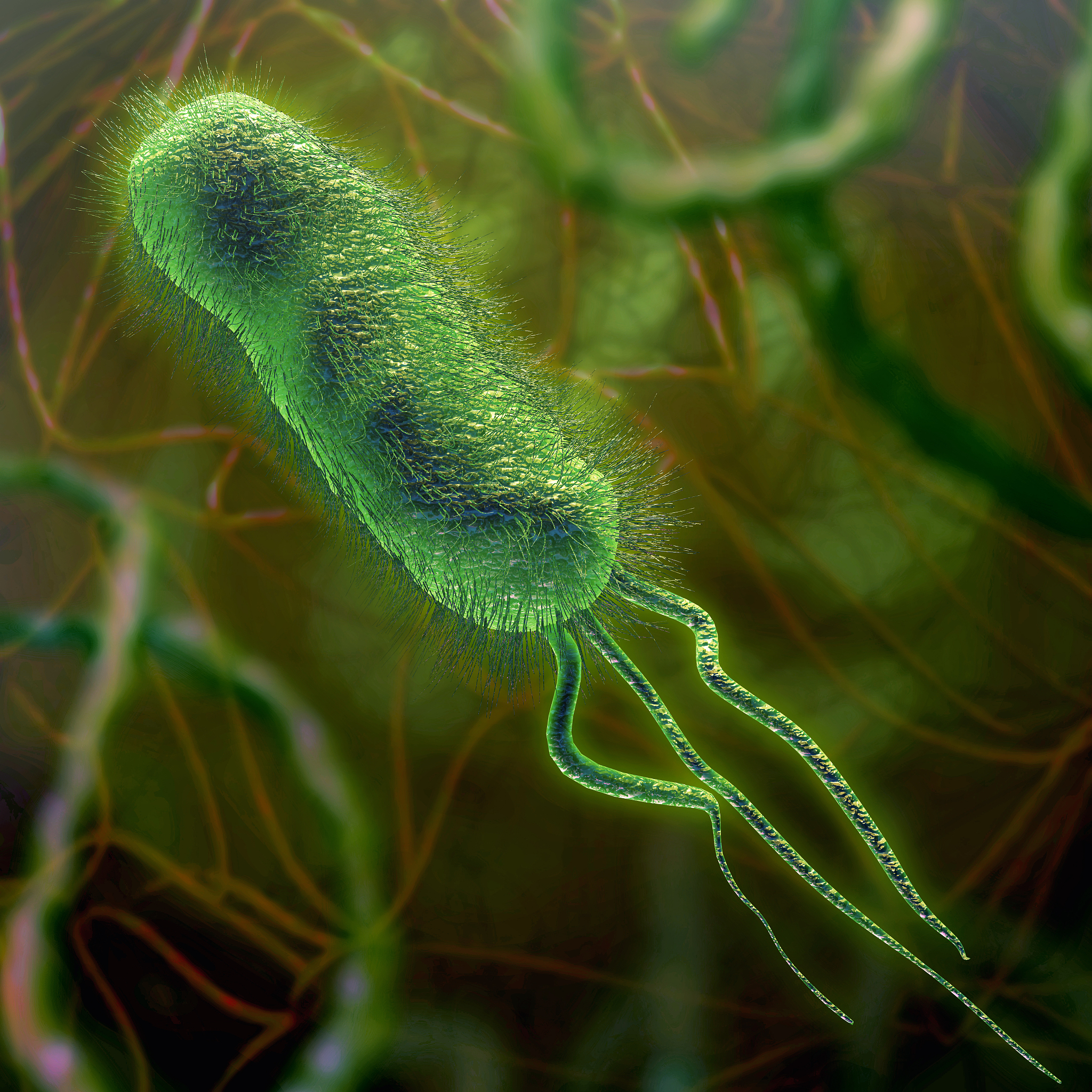 八年级生物细菌学习情况分析 - 知识、技能、应用和兴趣