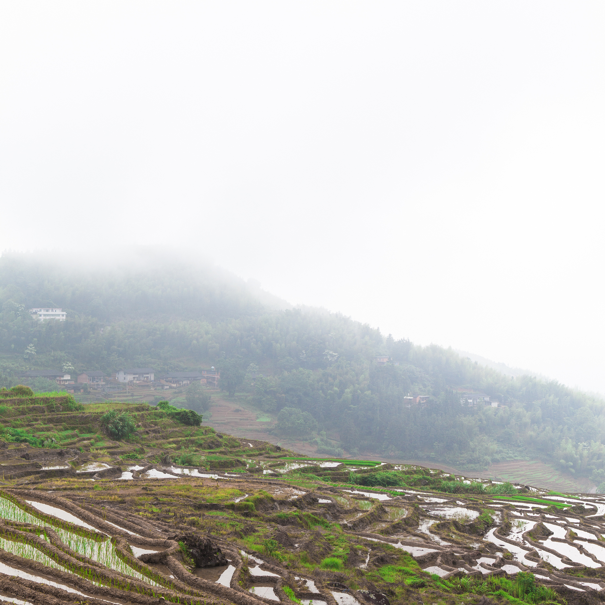 2023年广西现代职业技术学院汽车电子技术专业招生