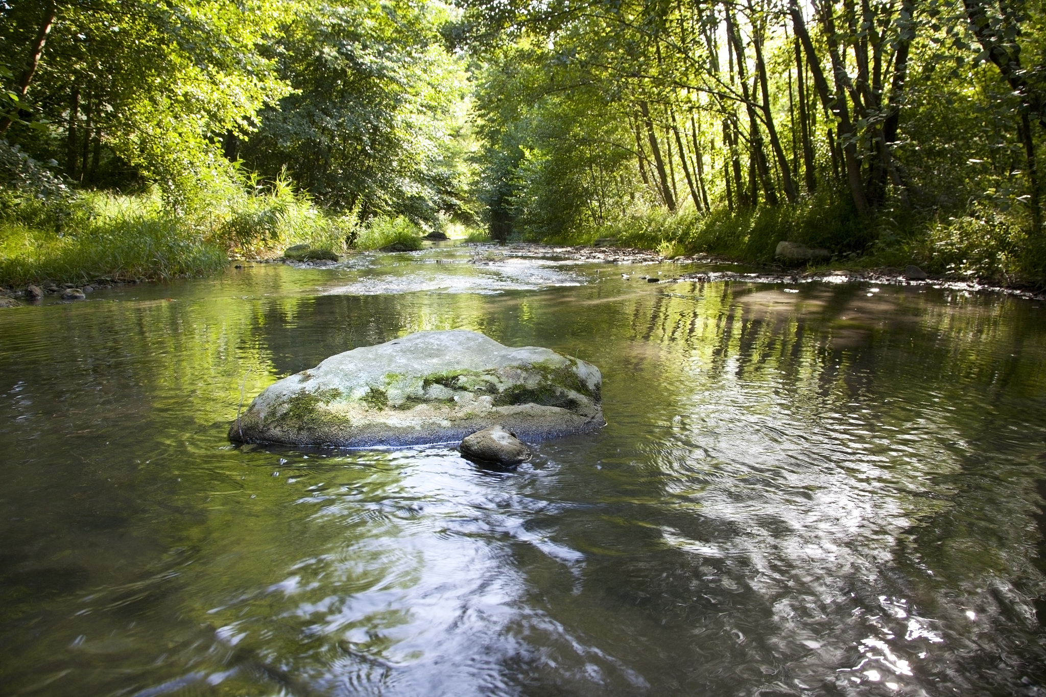 river