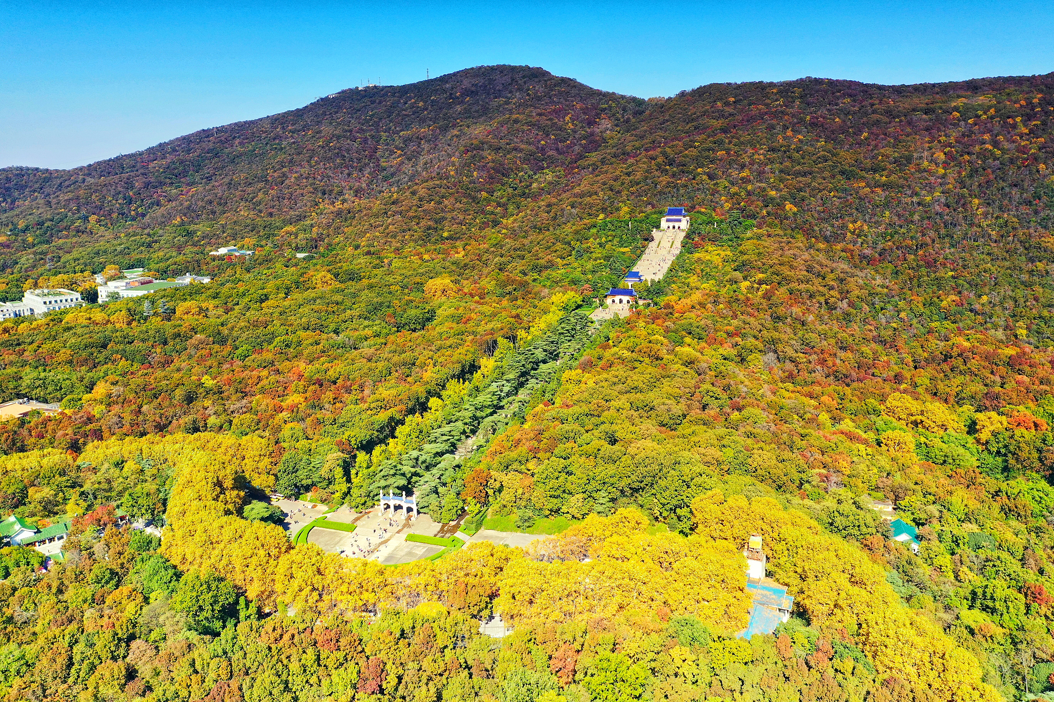 成都市中山职业技术学校广告装潢设计介绍