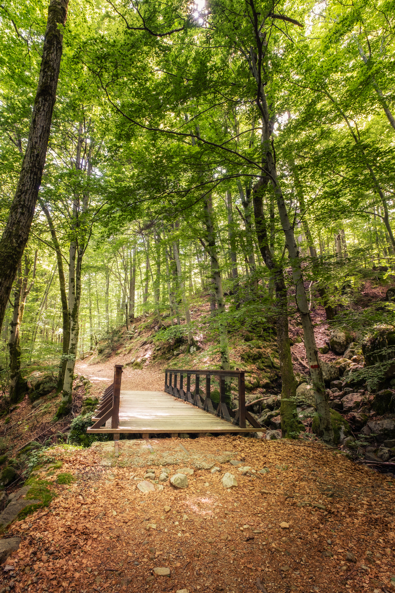GR开头的单词有哪些?完整列表 GR开头的单词有哪些?完整列表