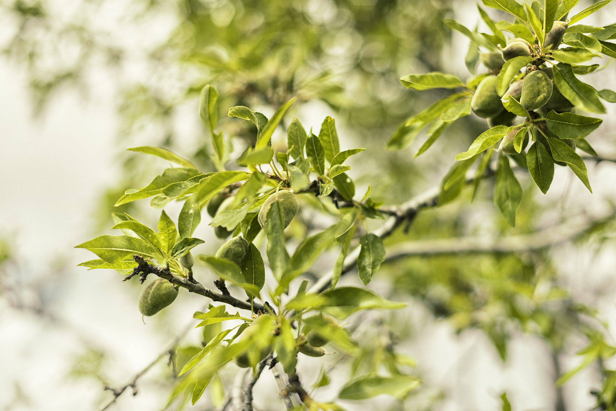 我要写论文网络文本分析海口旅游目的地形象感知影响研究帮我从roster cm6中文库分析一下海口的初级编码初级编码指的是对词语频率统计的结果进行归纳整理即对统计结果进行类目分析
