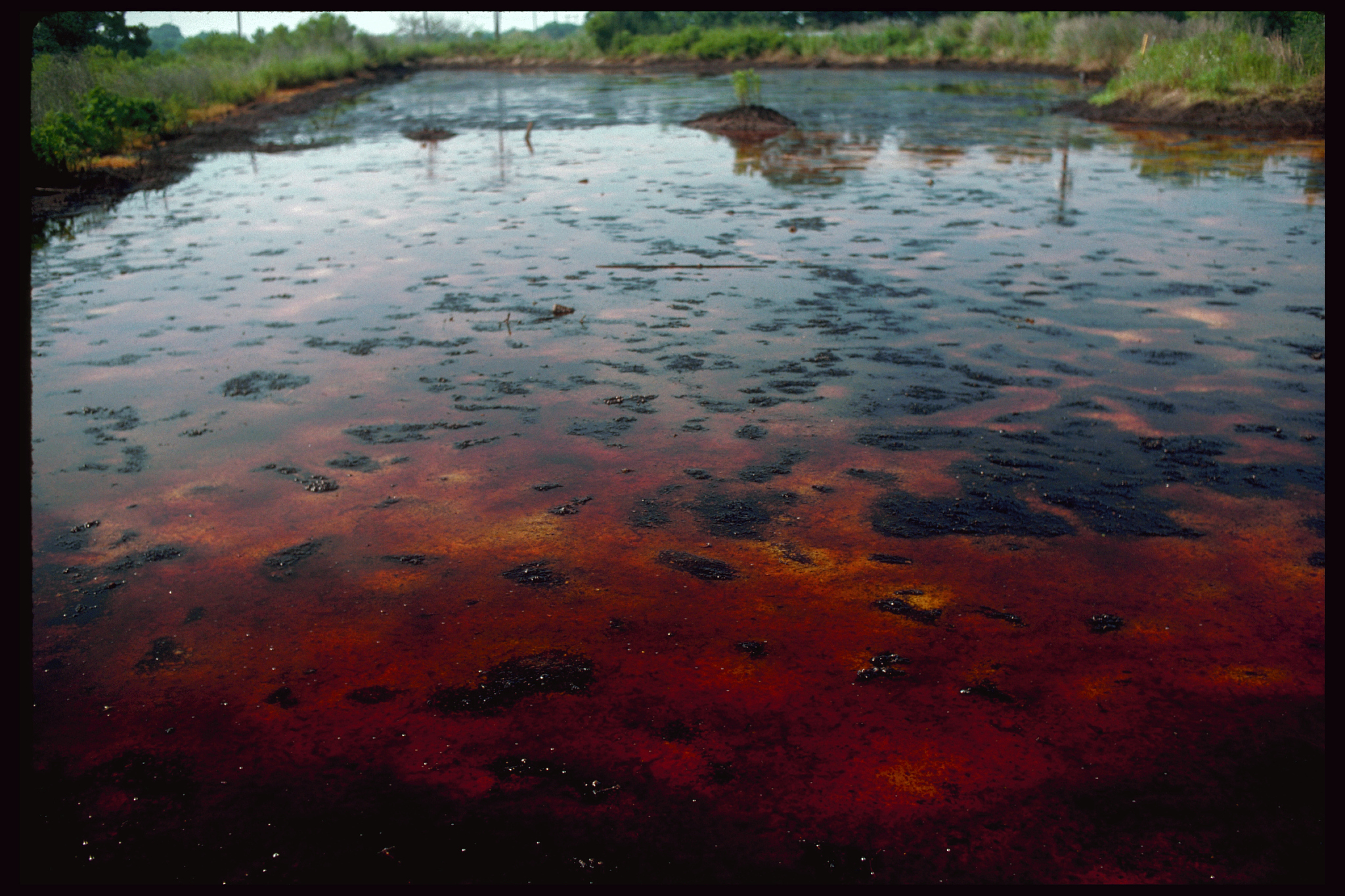 有机物污染：来源、危害及防治措施