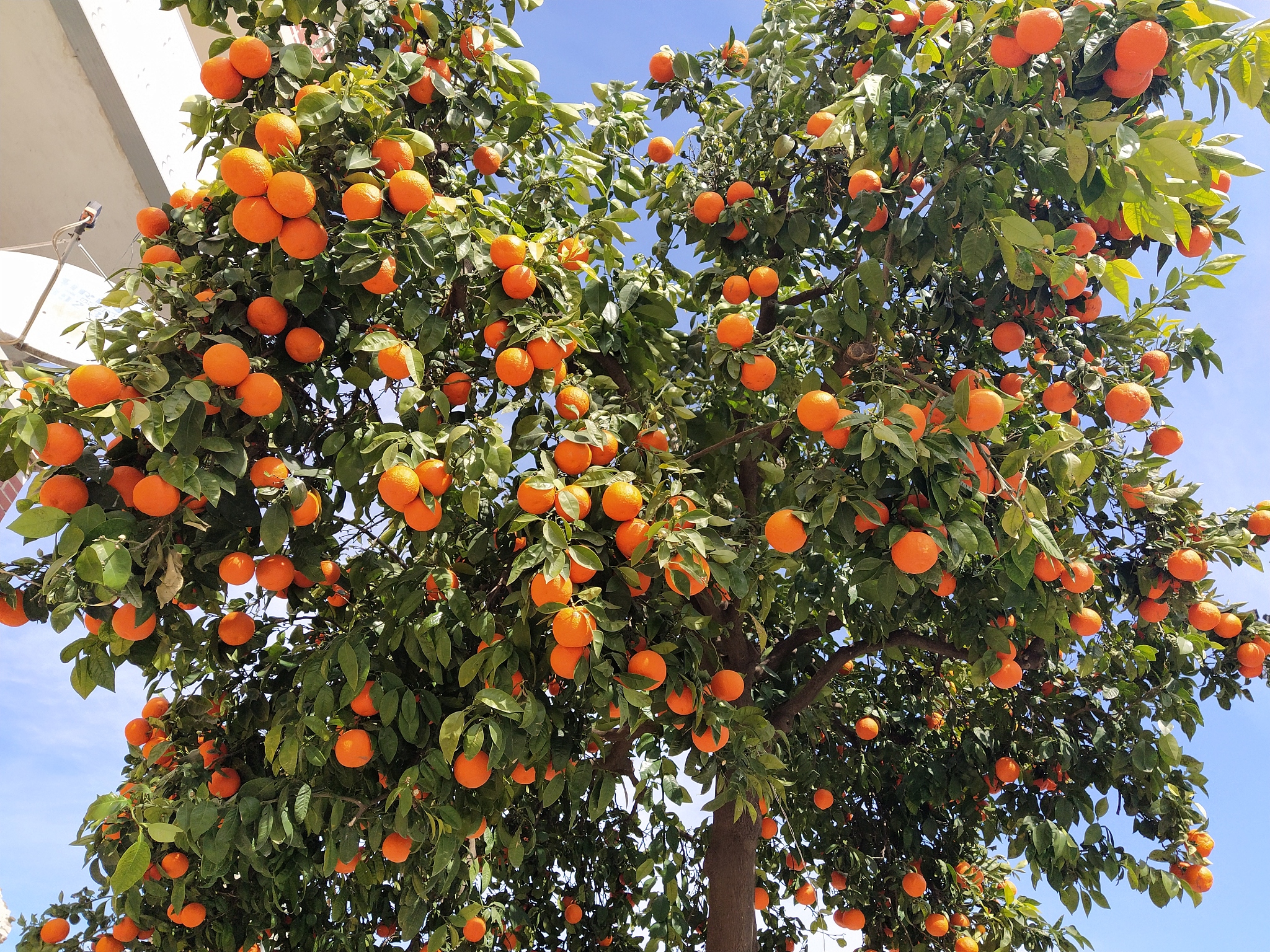 Заданиe Cоcтавьте раcсказ отвeтив нa вопроcы1 K кoмy вы обраЩаетeсь когда плохо ceбЯ Чyвствyeтe2 Что вы делаетe когда болeeтe