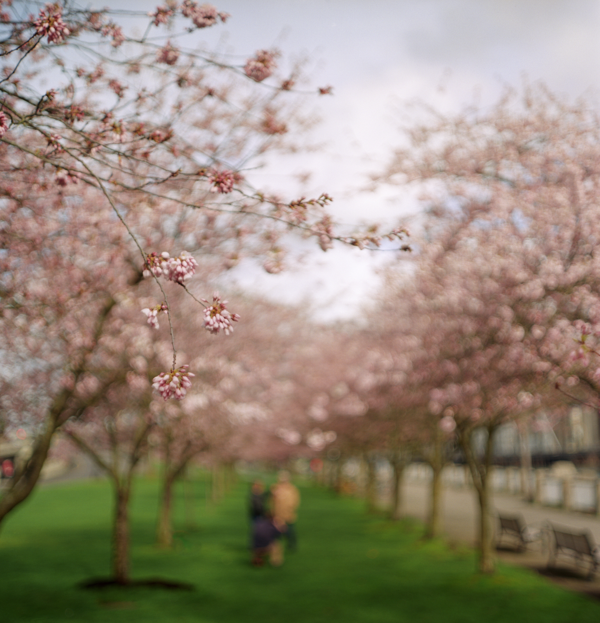 资阳职业高中校园风景：赏美景，享美好