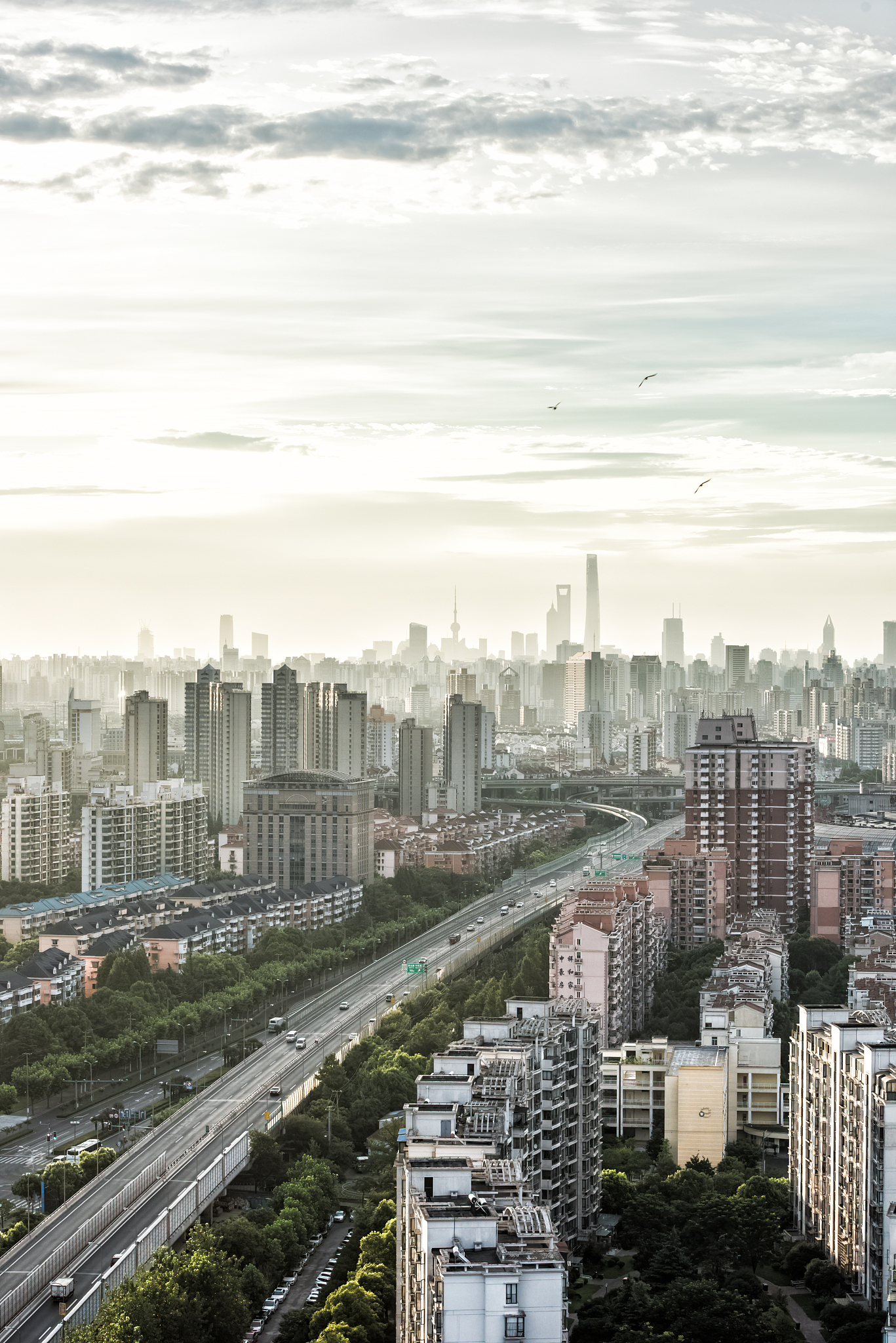 气溶胶对光照的影响：散射、吸收与视觉体验