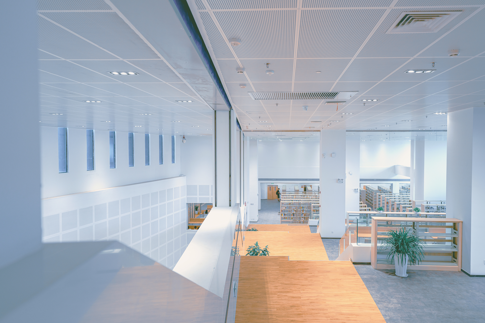 图书管理系统毕业设计 - 设计任务与要求