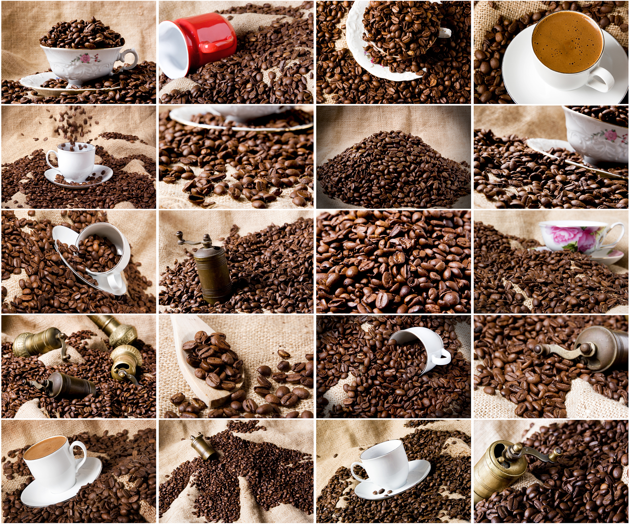 我想给大家录制一个《手冲咖啡入门》视频专辑，请帮我写一下第二集视频文稿，主题是告诉大家速溶咖啡、浓缩咖啡（摩卡、卡布奇洛）、挂耳咖啡和手冲咖啡，要求从冲泡式咖啡和现磨咖啡的分类角度去介绍。