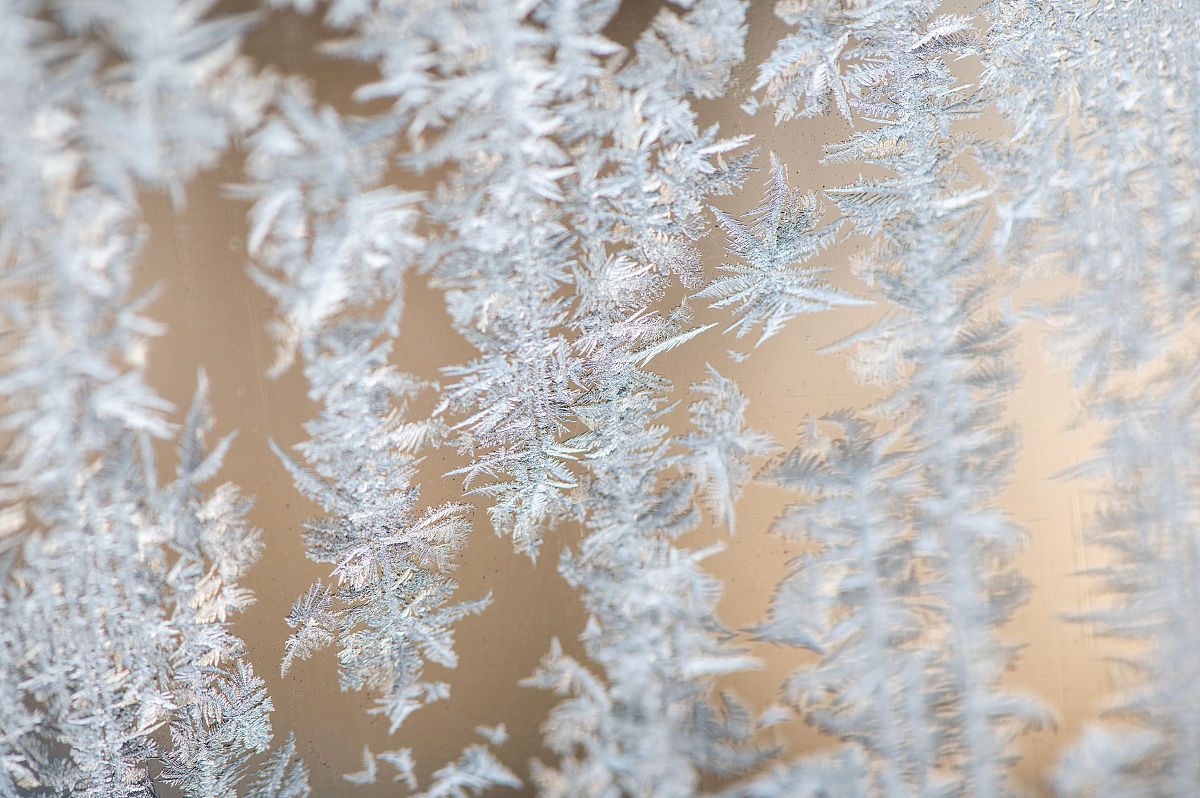 晶种可以采用抛物法 加入至溶液中吗