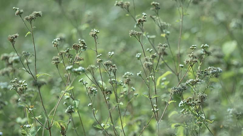 曲靖市农业学校2023年三年制中专招生专业