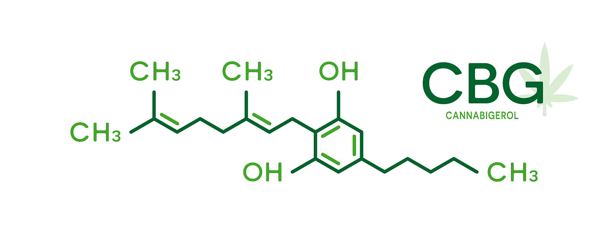 依兰油烯种类: α、β、γ 你了解多少？