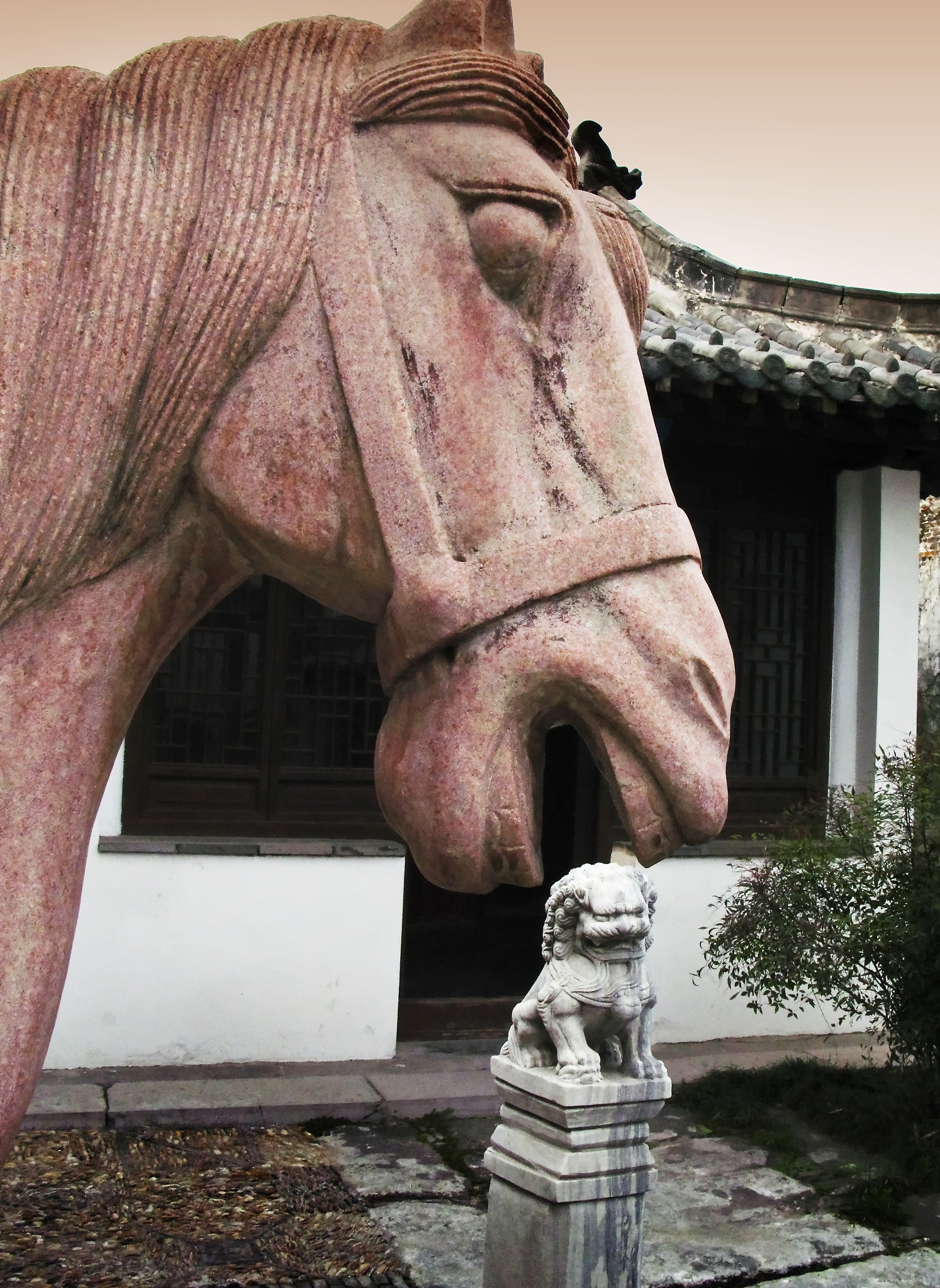 分镜头脚本：远景、中景、近景、特写，展现人物情感变化
