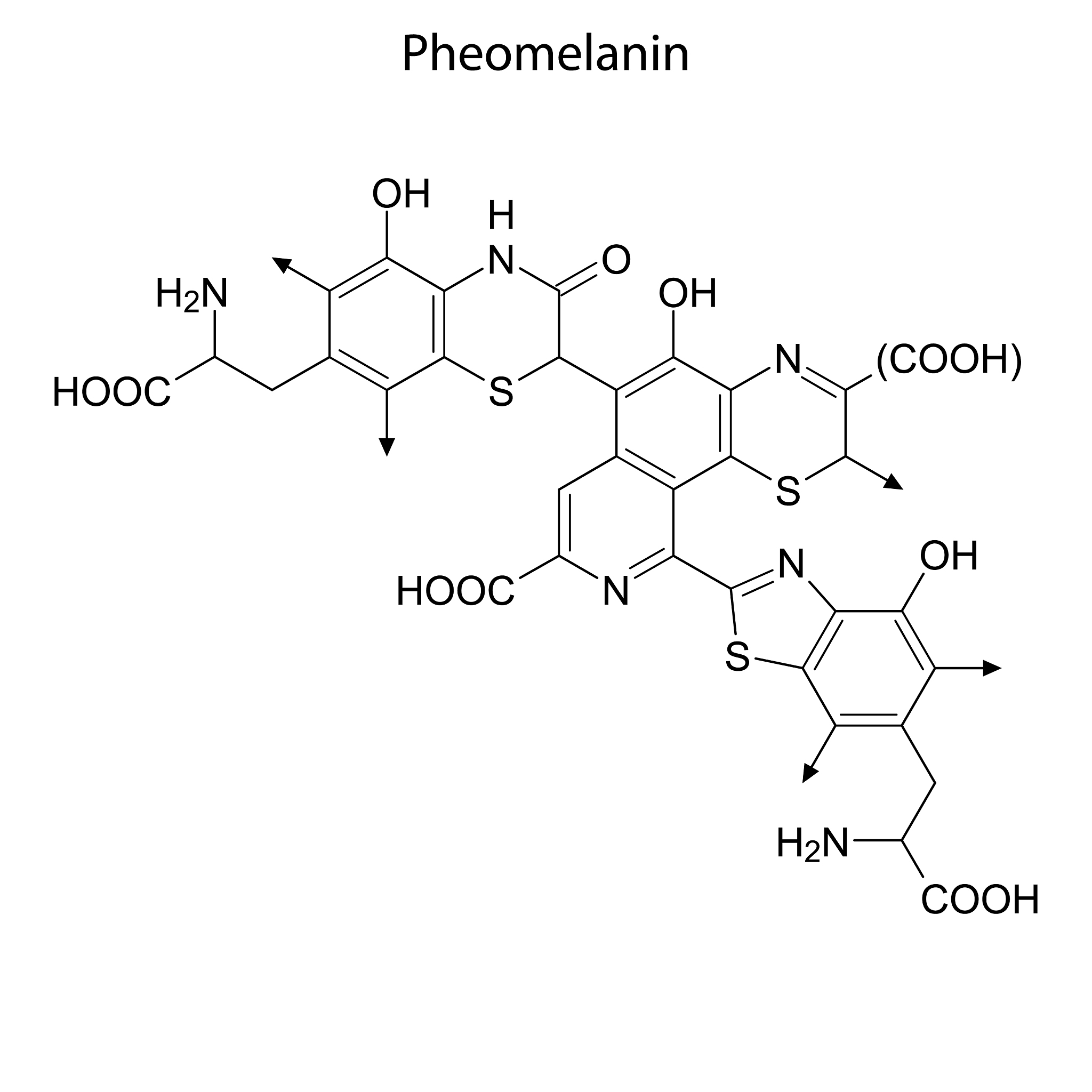 翻译为英语鞘膜积液的药物治疗具体有哪些药