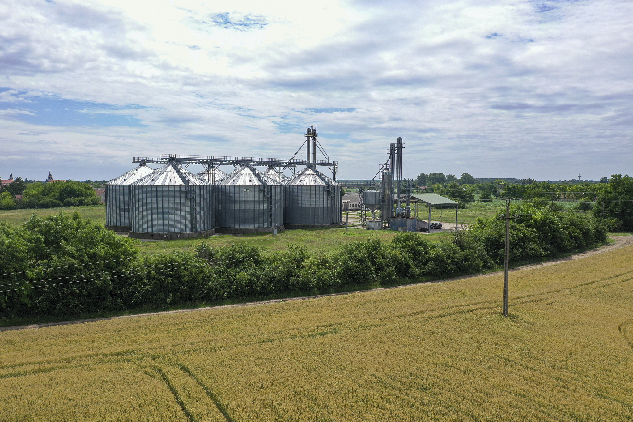 写一份绿色储粮项目方案