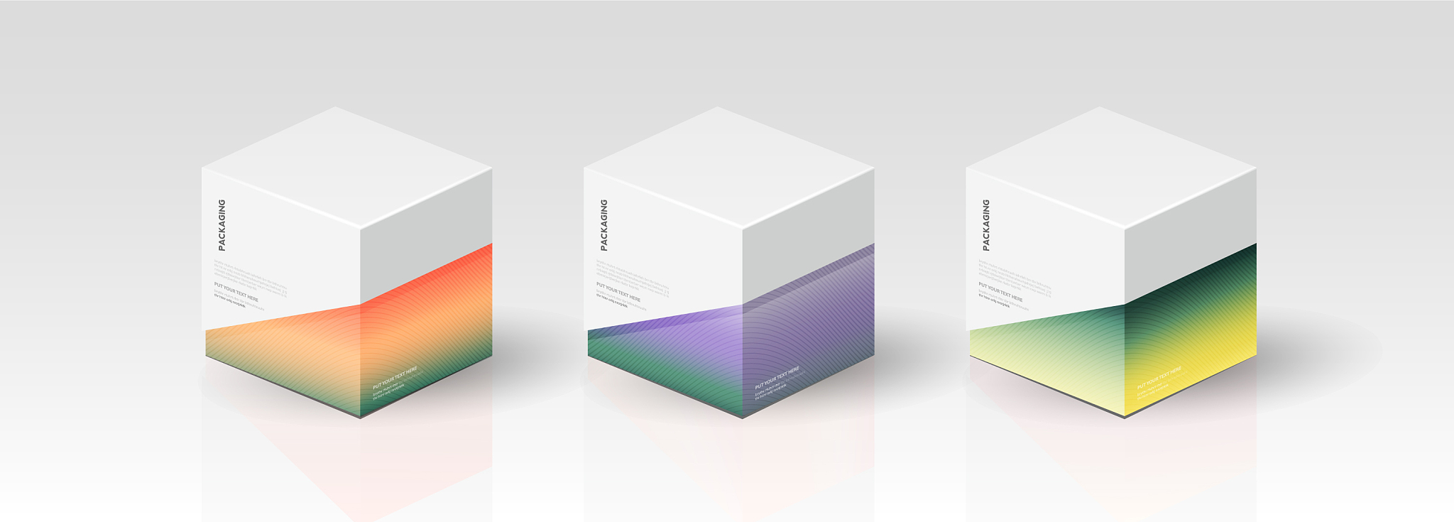 box packaging t<strong>e</strong>mplate for product design