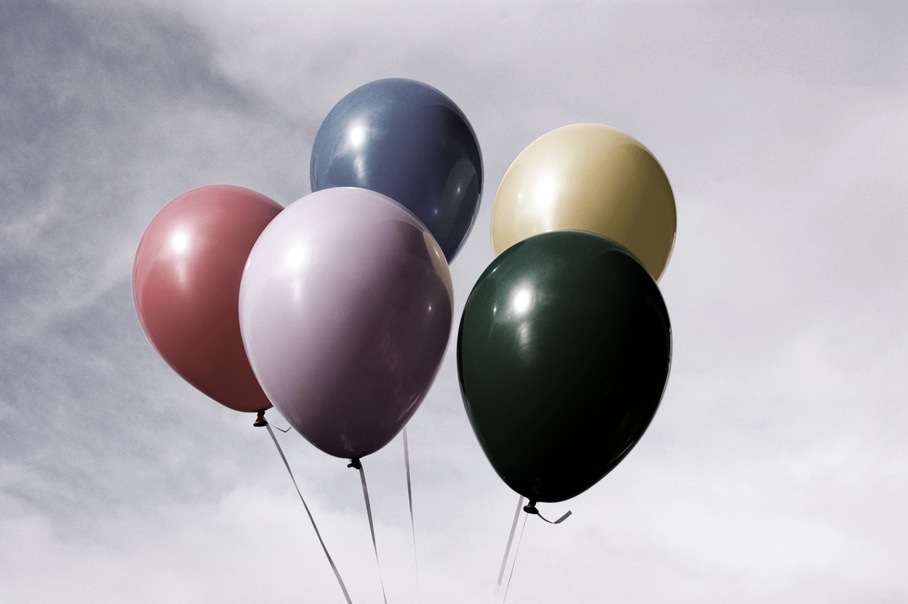 凉山州农业学校2019年学校招生专业及计划