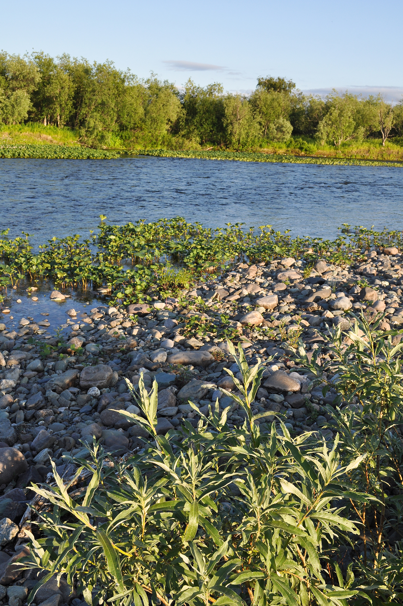 the ural river.