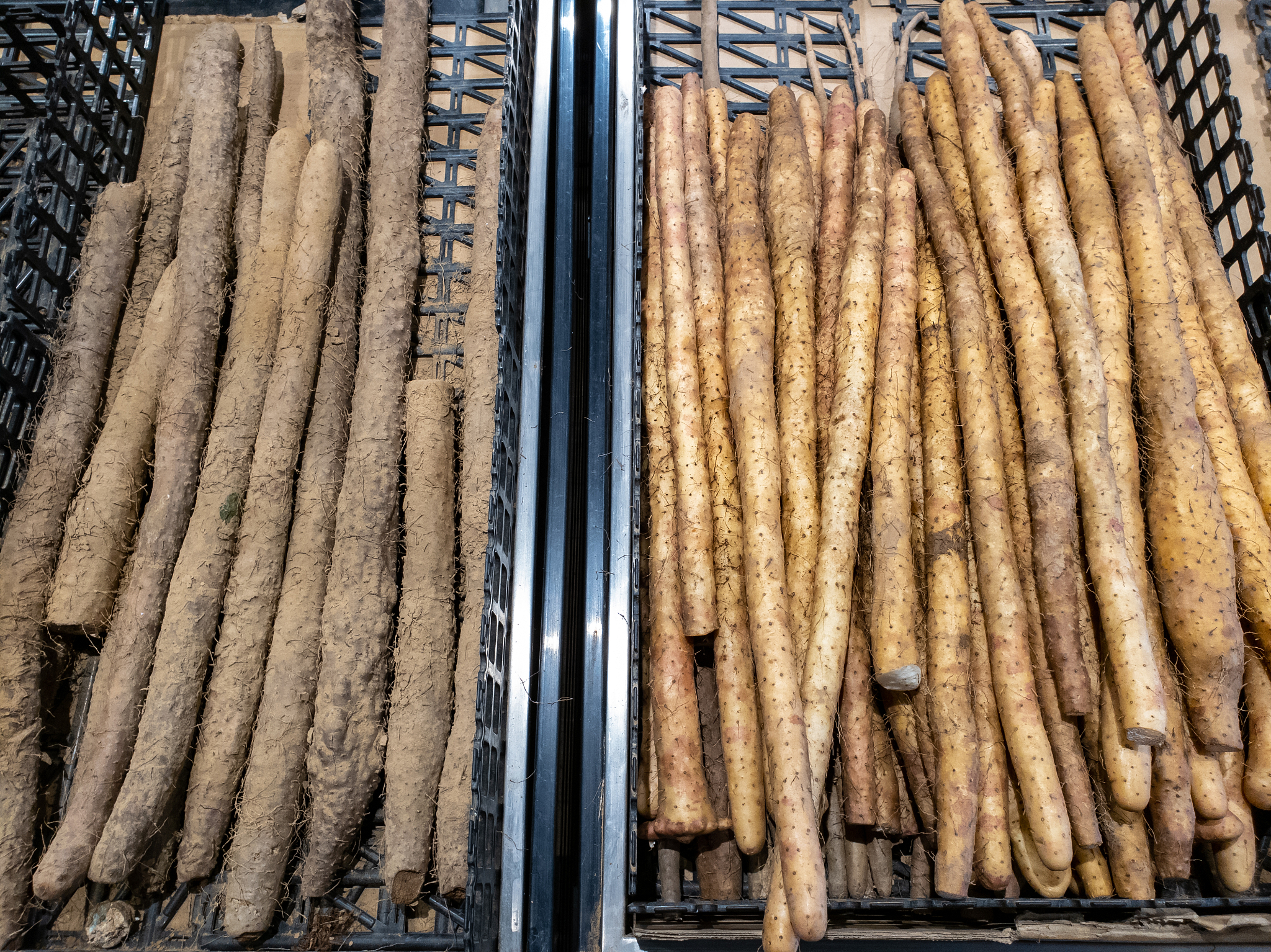 chinese yam selling in grocery store