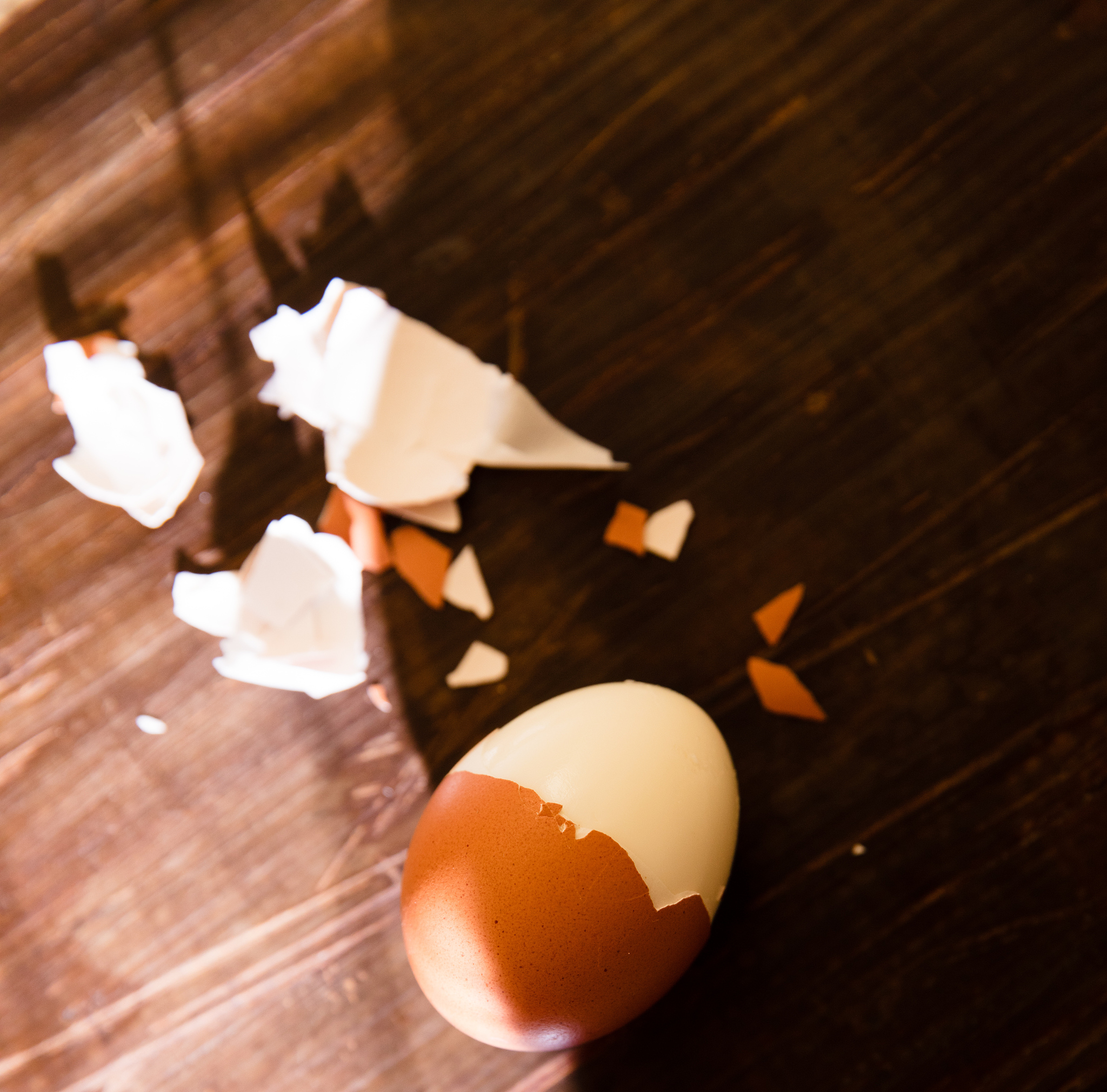 先有鸡还是先有蛋？揭秘古老谜题