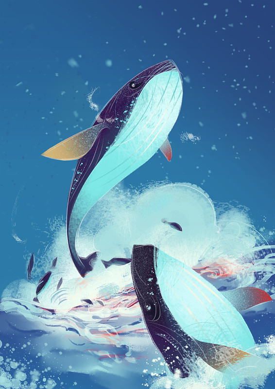 鲲鲲是什么梗？解读网络流行语鲲鲲的含义和来源