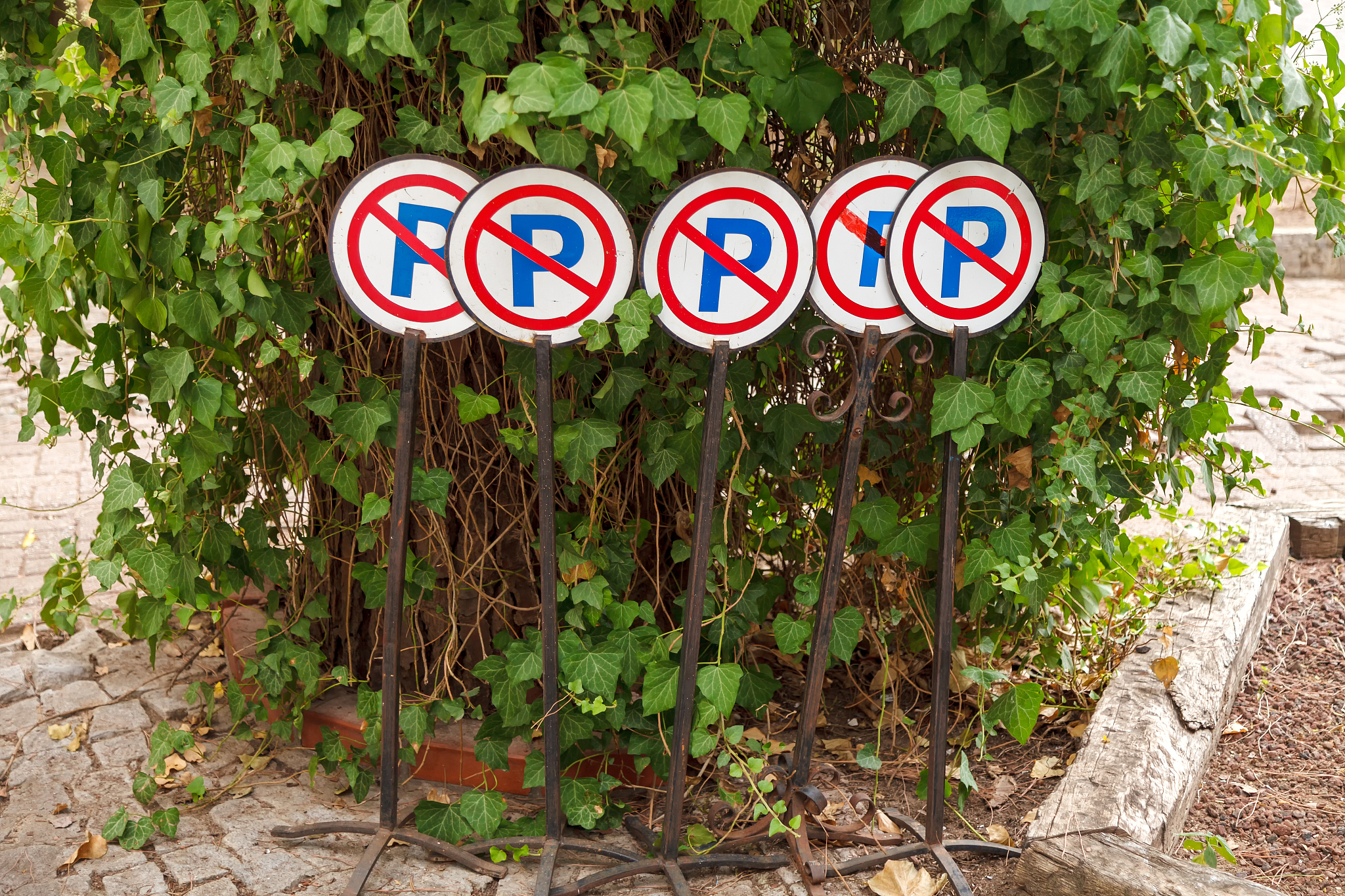 road signs are prohibited parking stand in a green shrub