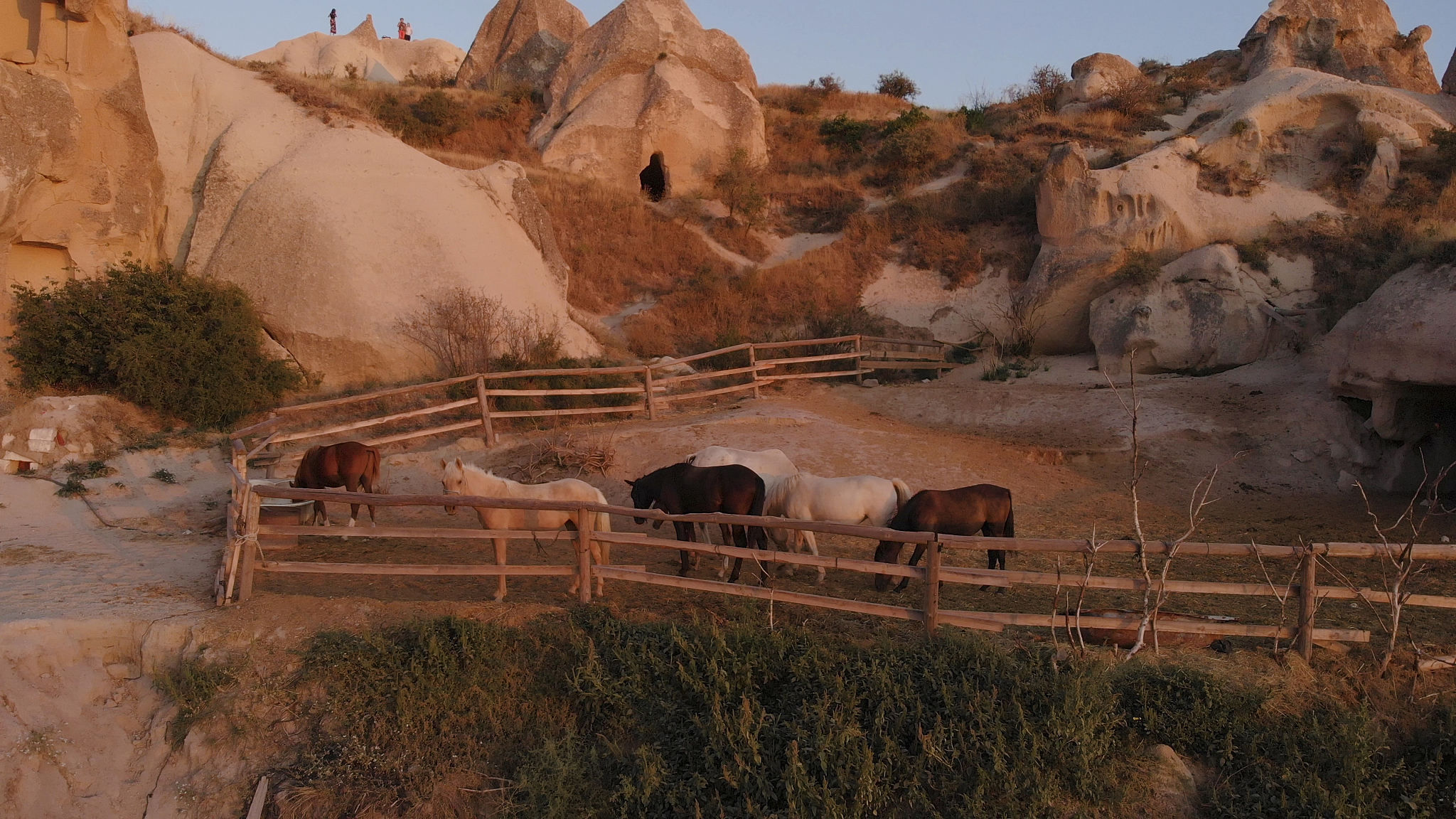 horses graze in a corral amongst the fairy chimneys