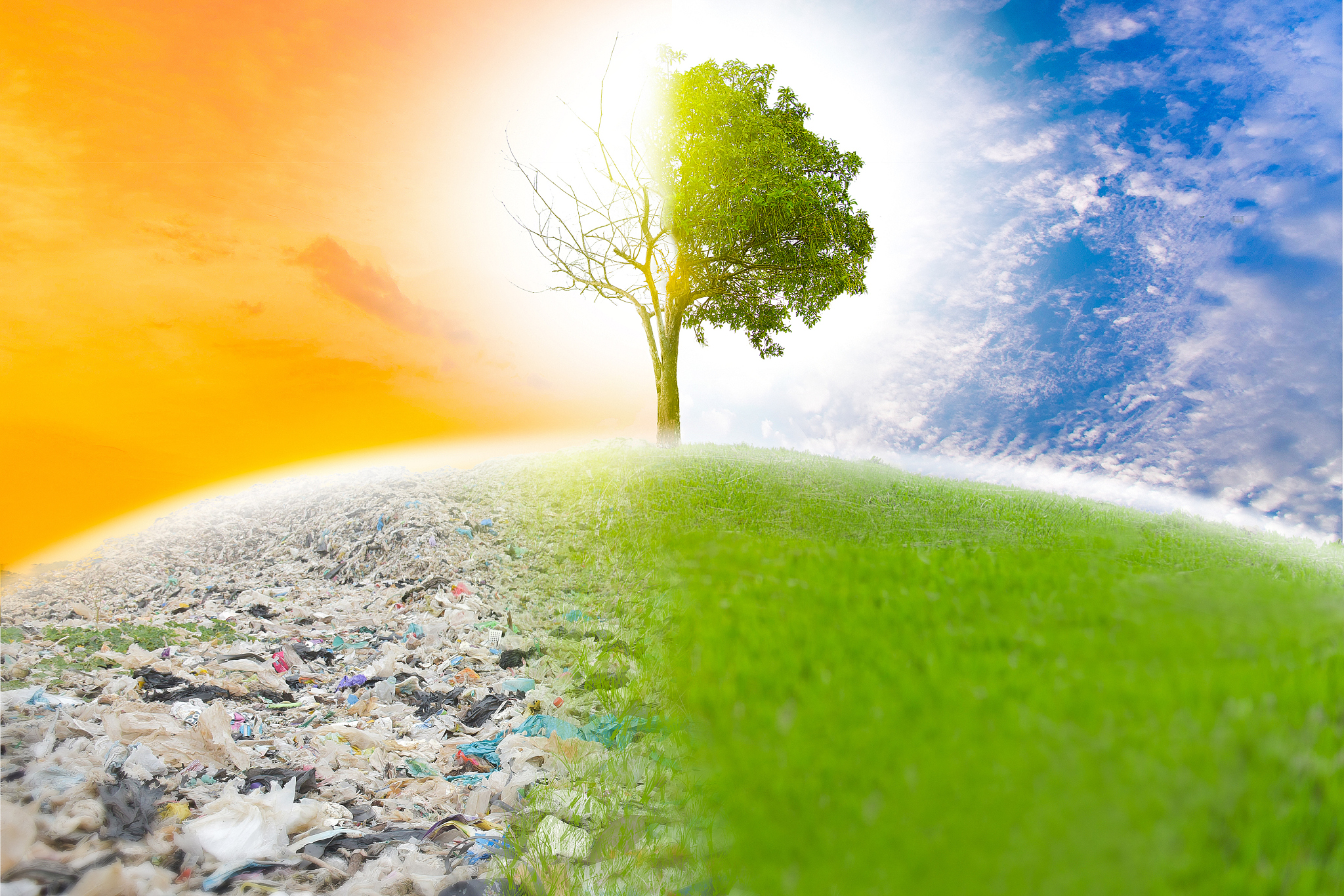 地聚物颜色研究：背景、意义及应用