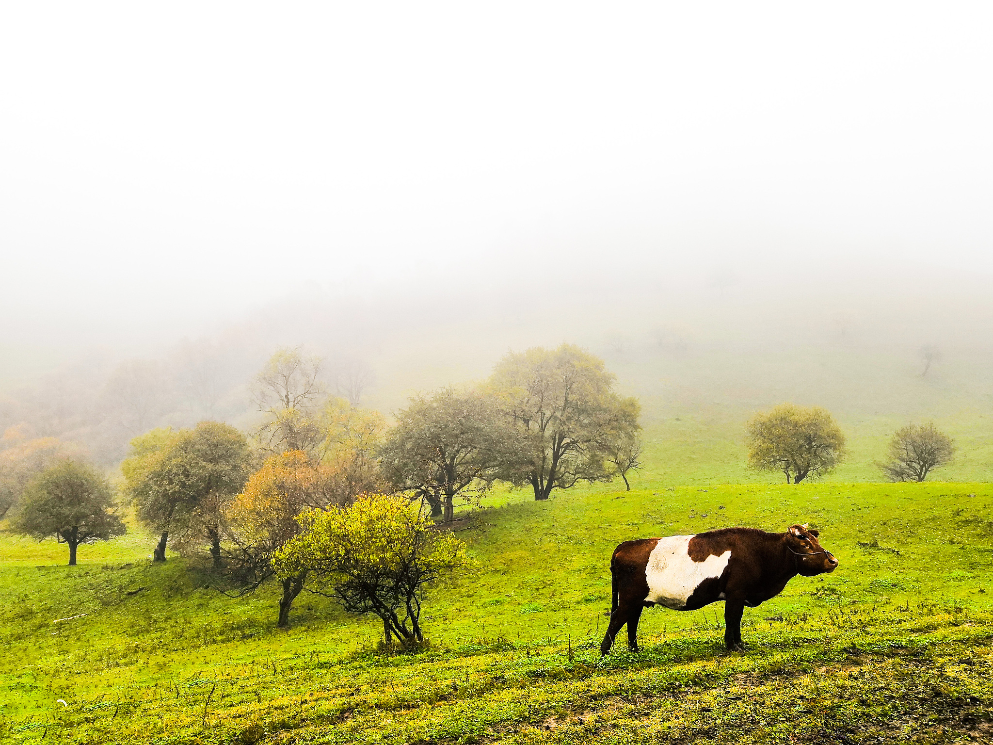 形容一行人坐着马车赶路的场景环境描写马车描写详细