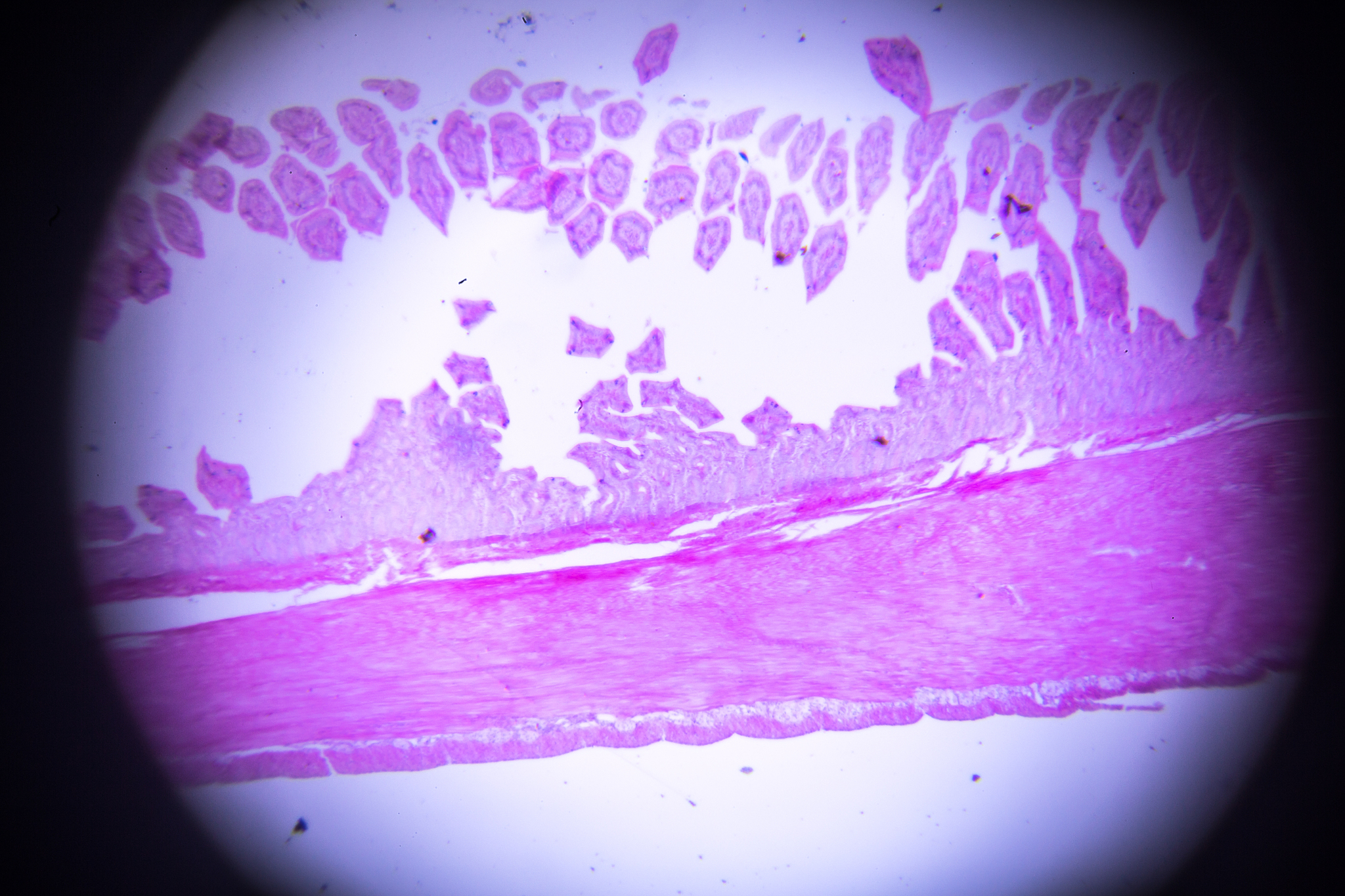 唐山2022年卫校理论包括什么-好麽